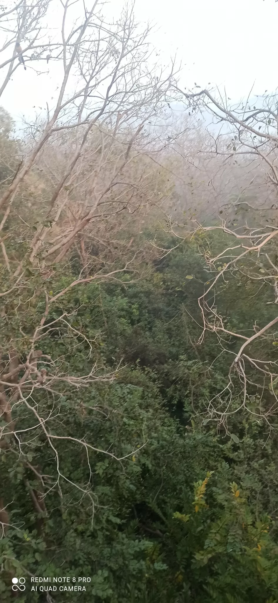 Photo of Ranthambore Fort By Mannsh Singh