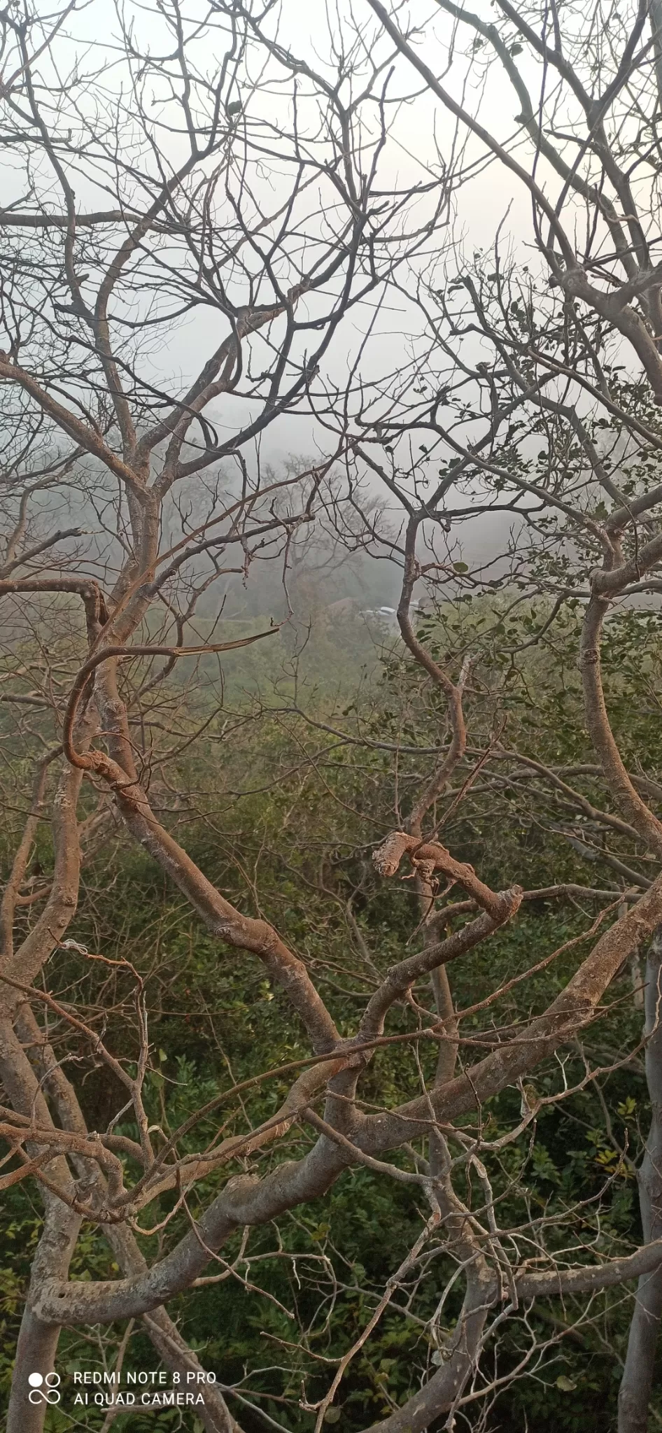 Photo of Ranthambore Fort By Mannsh Singh