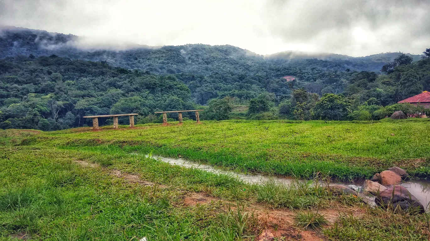 Photo of Mallalli Water Falls By KARTHIK S