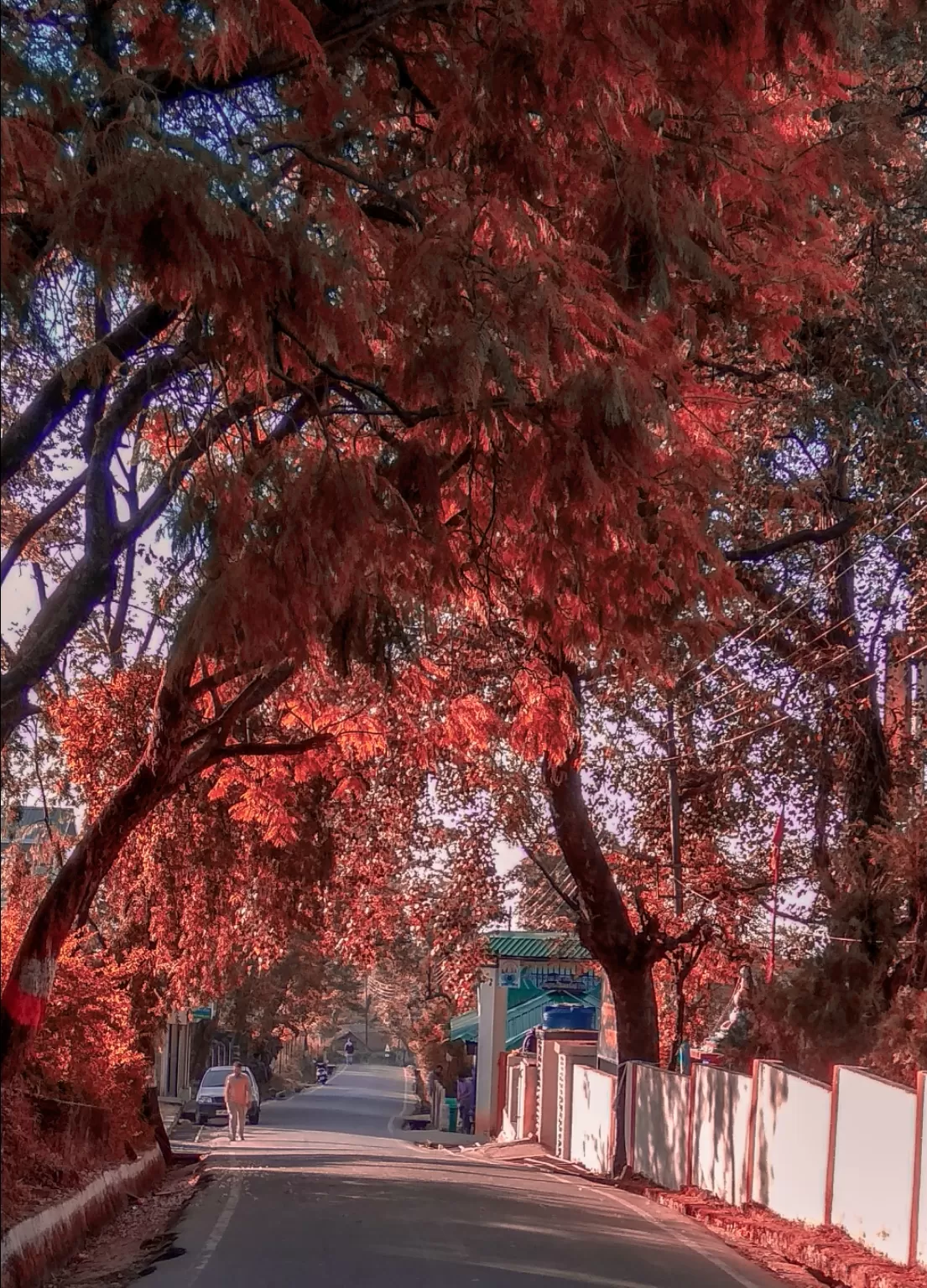 Photo of McLeod Ganj By Gadabout Escape