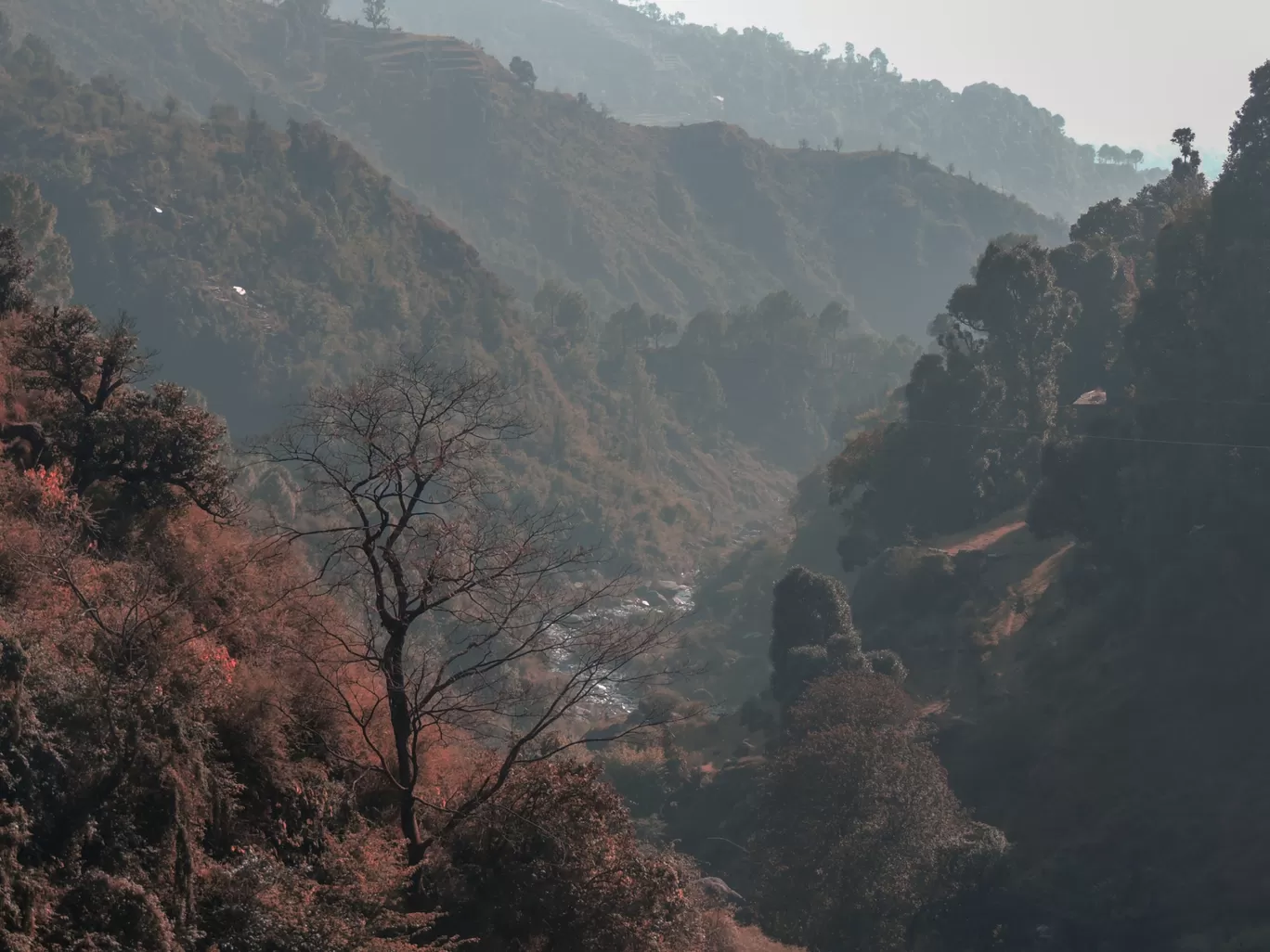 Photo of McLeod Ganj By Gadabout Escape