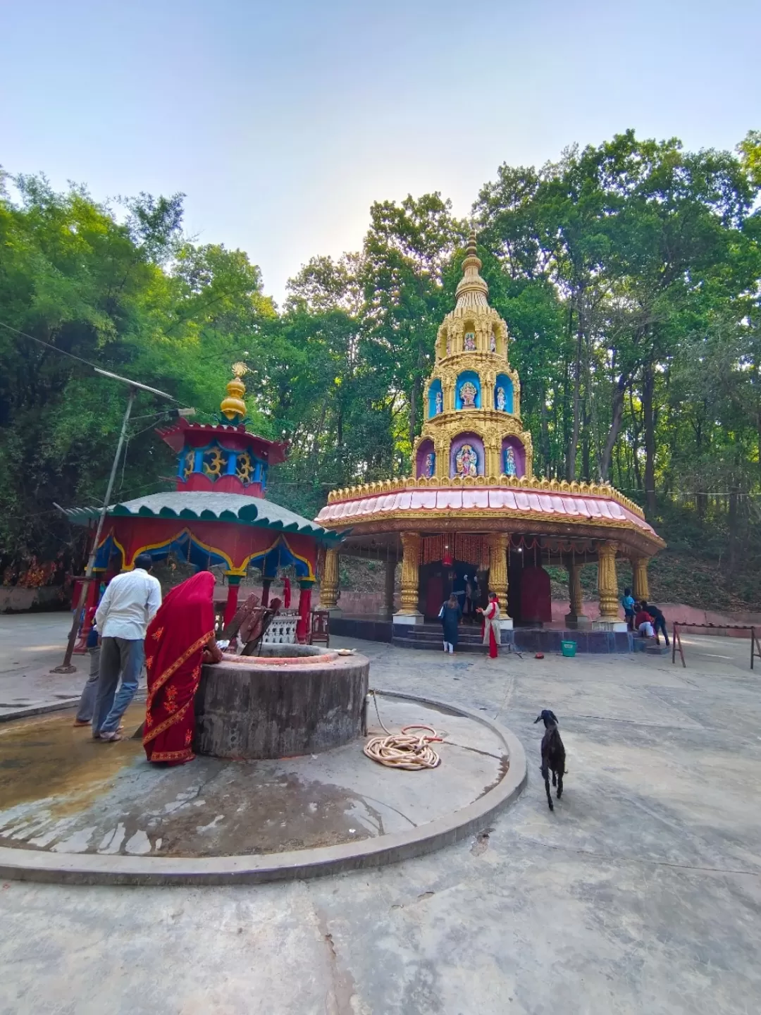 Photo of Valmiki Tiger Reserve By indrajyoti roy