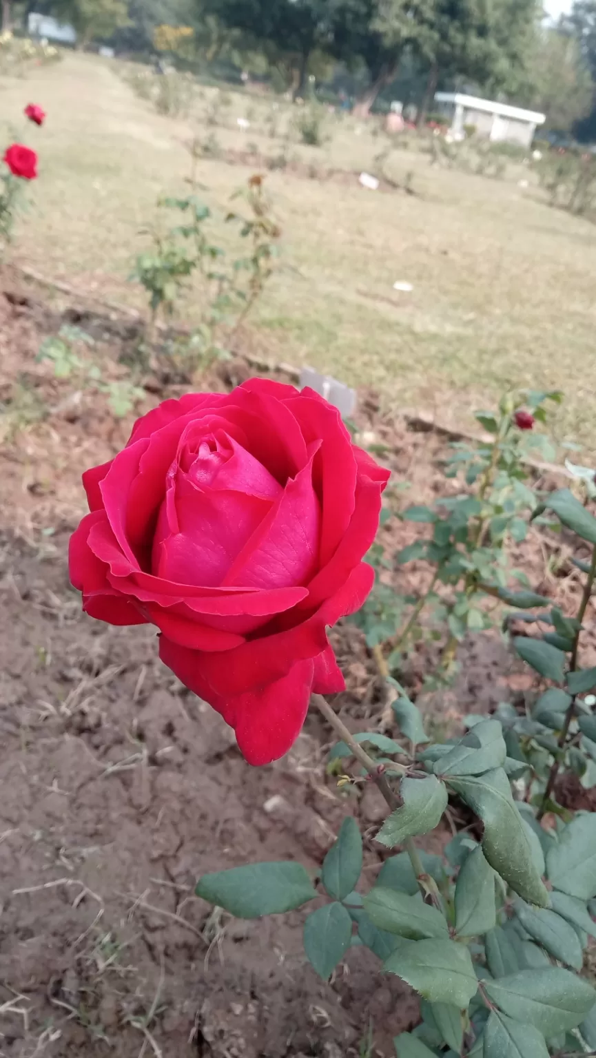 Photo of Chandigarh Weekend Getaways By Swapnadip Bhattacharya