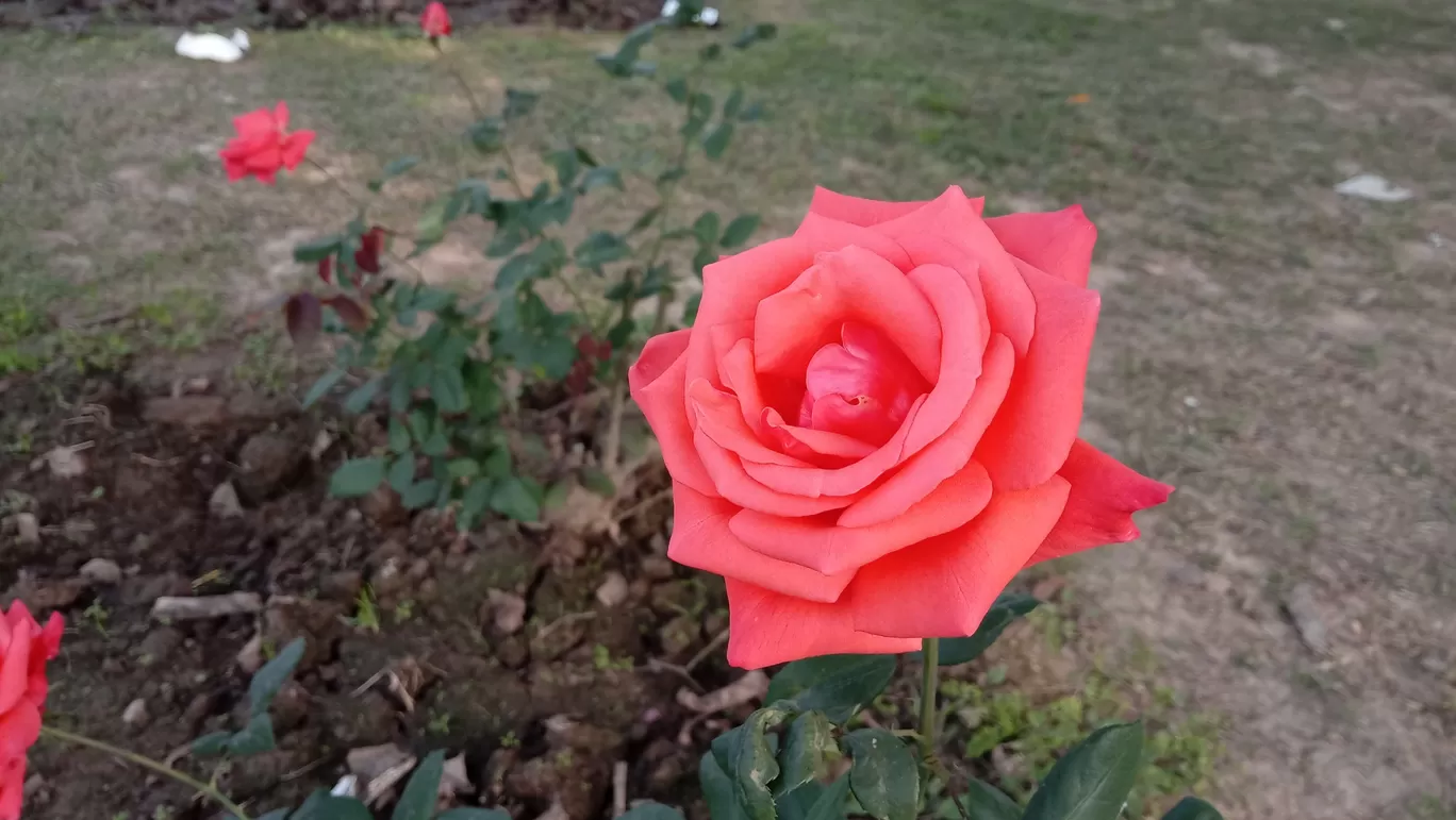 Photo of Chandigarh Weekend Getaways By Swapnadip Bhattacharya