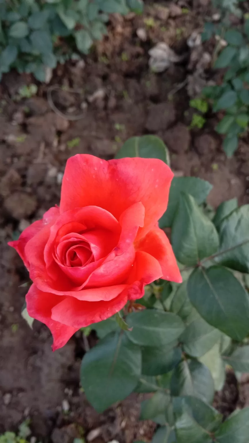 Photo of Chandigarh Weekend Getaways By Swapnadip Bhattacharya
