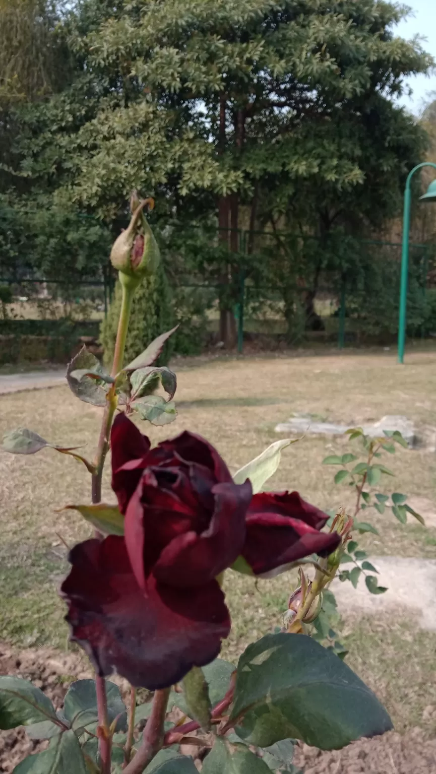 Photo of Chandigarh Weekend Getaways By Swapnadip Bhattacharya