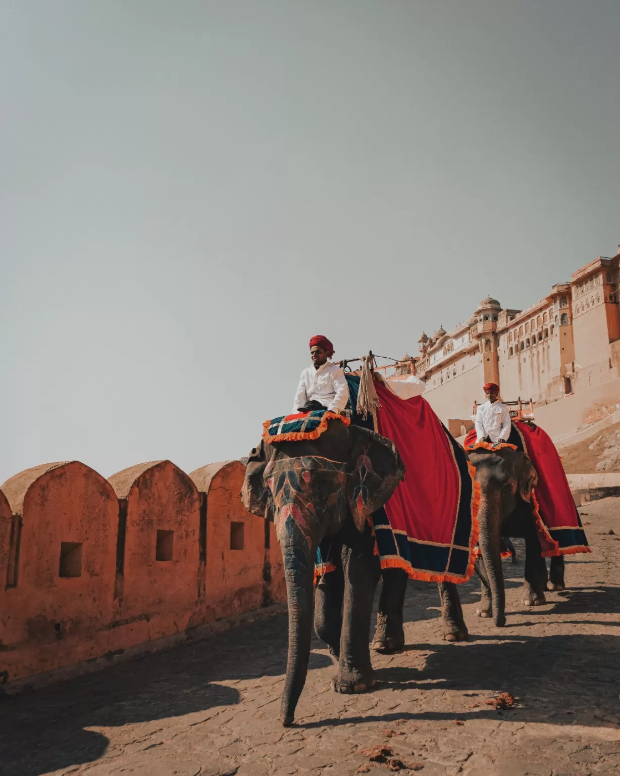 Photo of Amer Fort By himanshu pagariya