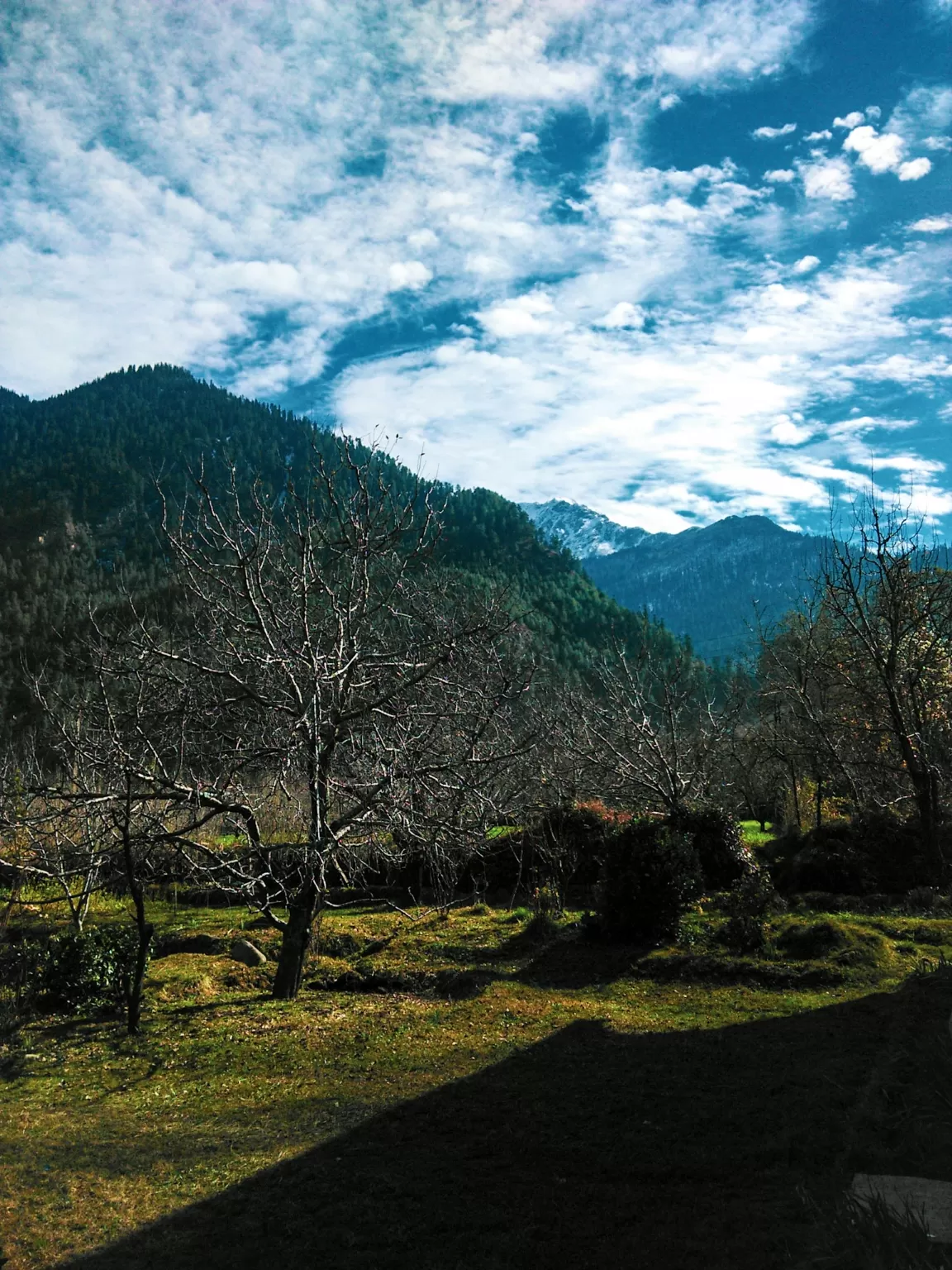 Photo of Manali By Akriti Shashni