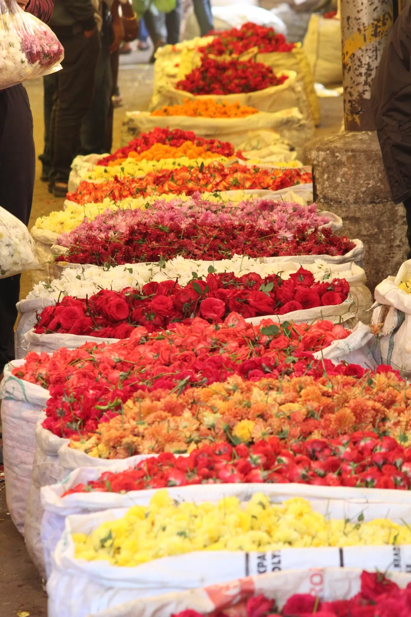 Photo of Gudimalkapur Flower Market By Pavan Kumar