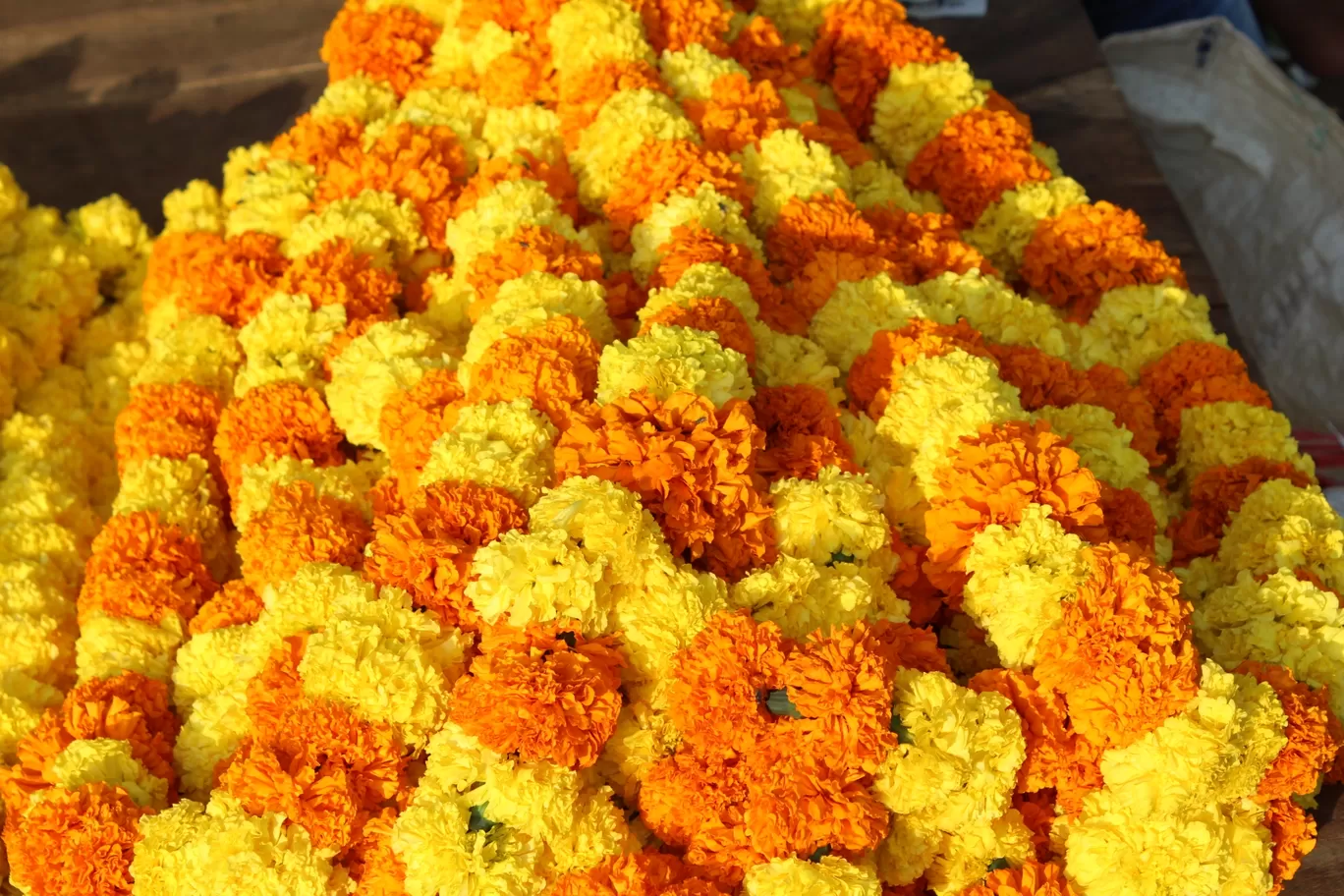 Photo of Gudimalkapur Flower Market By Pavan Kumar