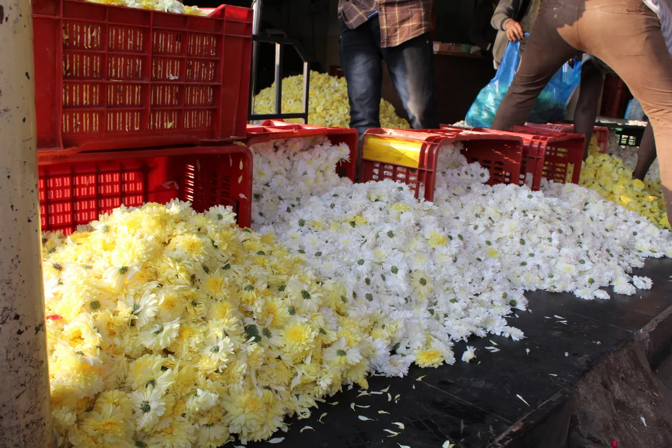 Photo of Gudimalkapur Flower Market By Pavan Kumar