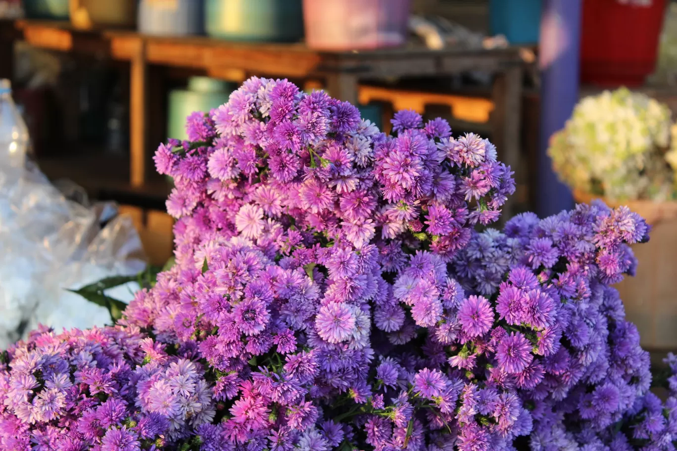 Photo of Gudimalkapur Flower Market By Pavan Kumar
