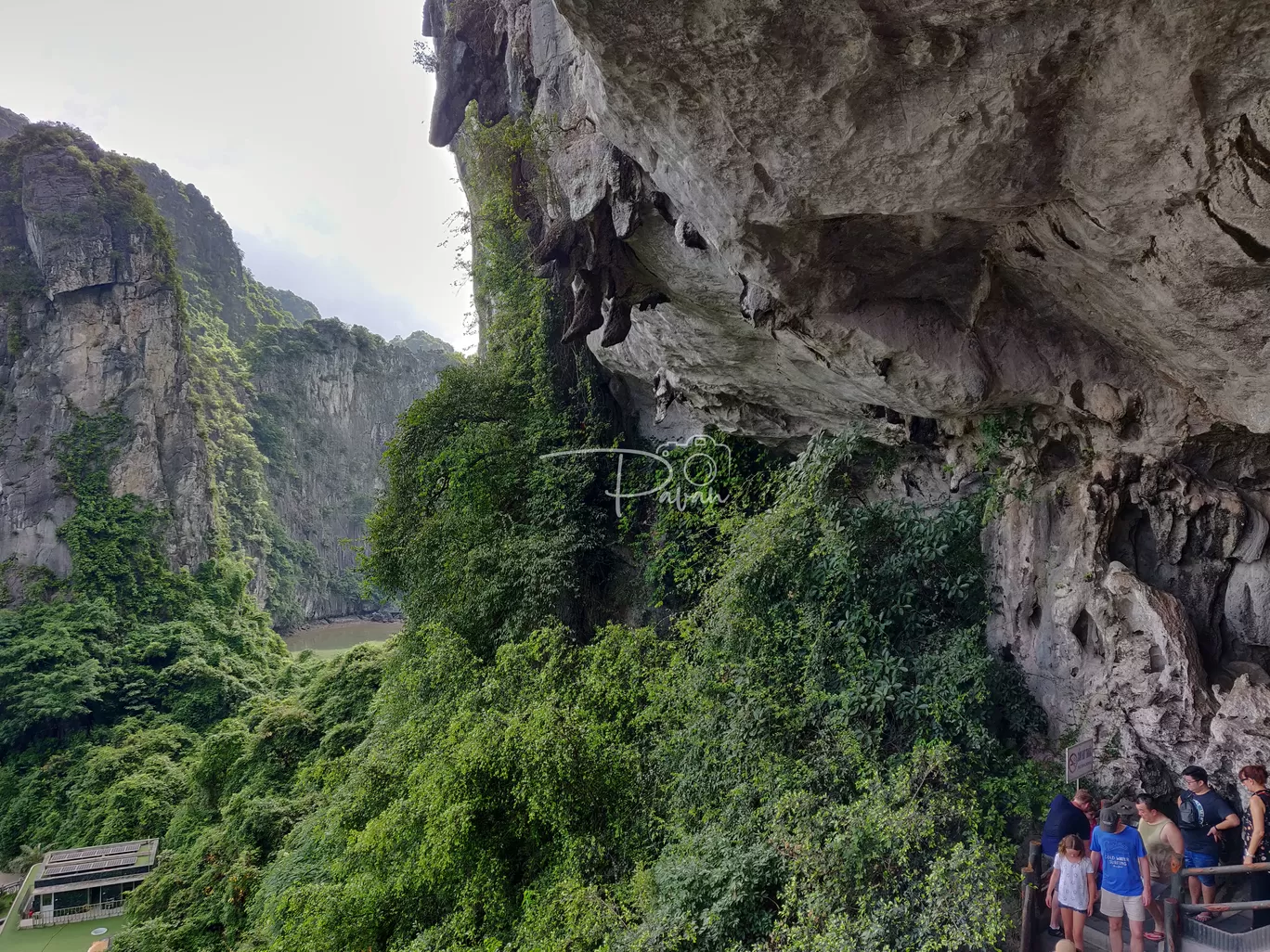 Photo of Hạ Long Bay By Pavan Kumar