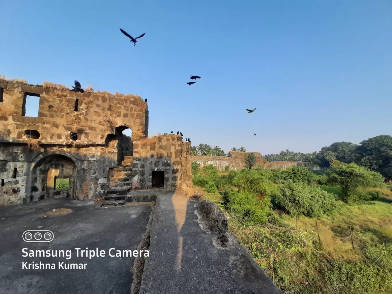 Photo of Arnala Fort virar By Krishna Kumar