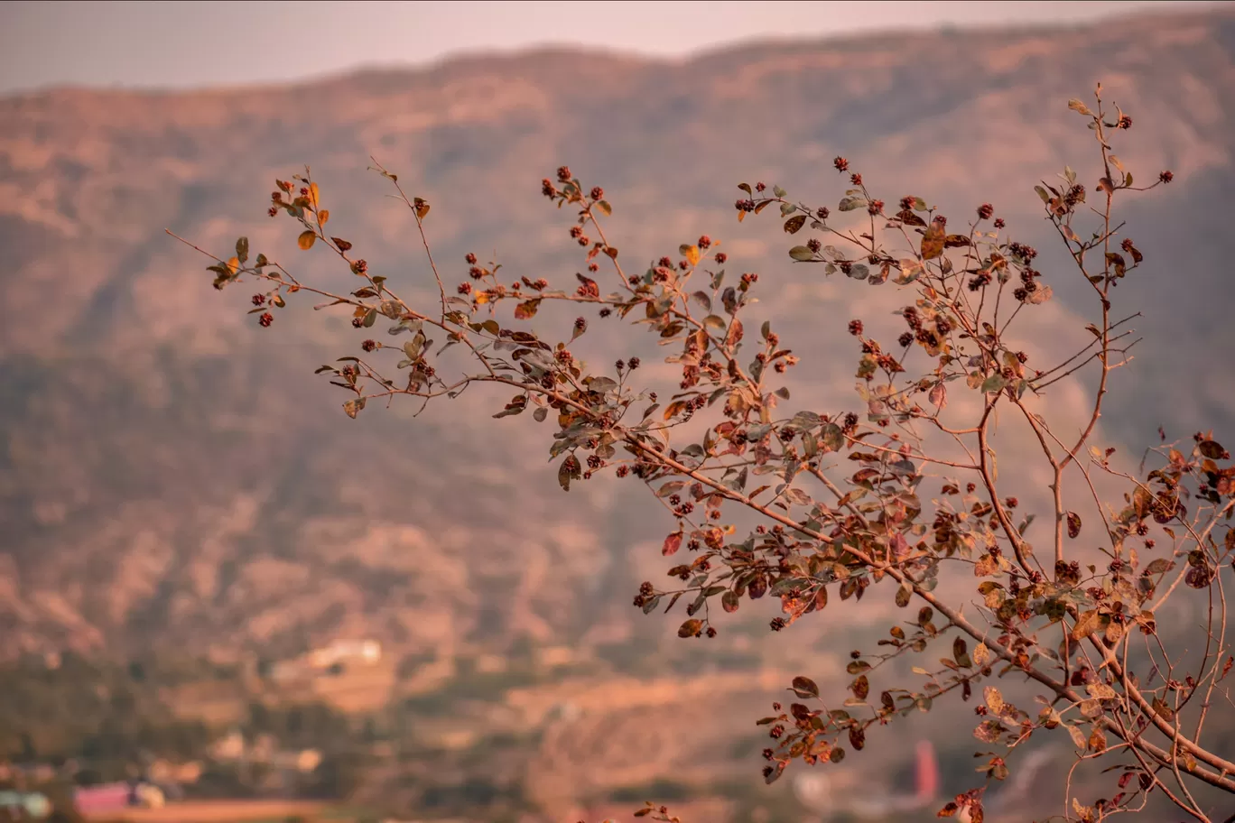 Photo of Pushkar By Jeetesh Meena