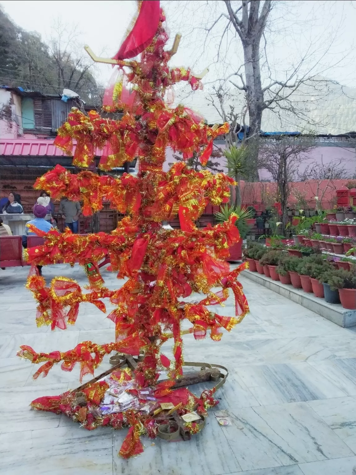 Photo of Nainital By gargi charan