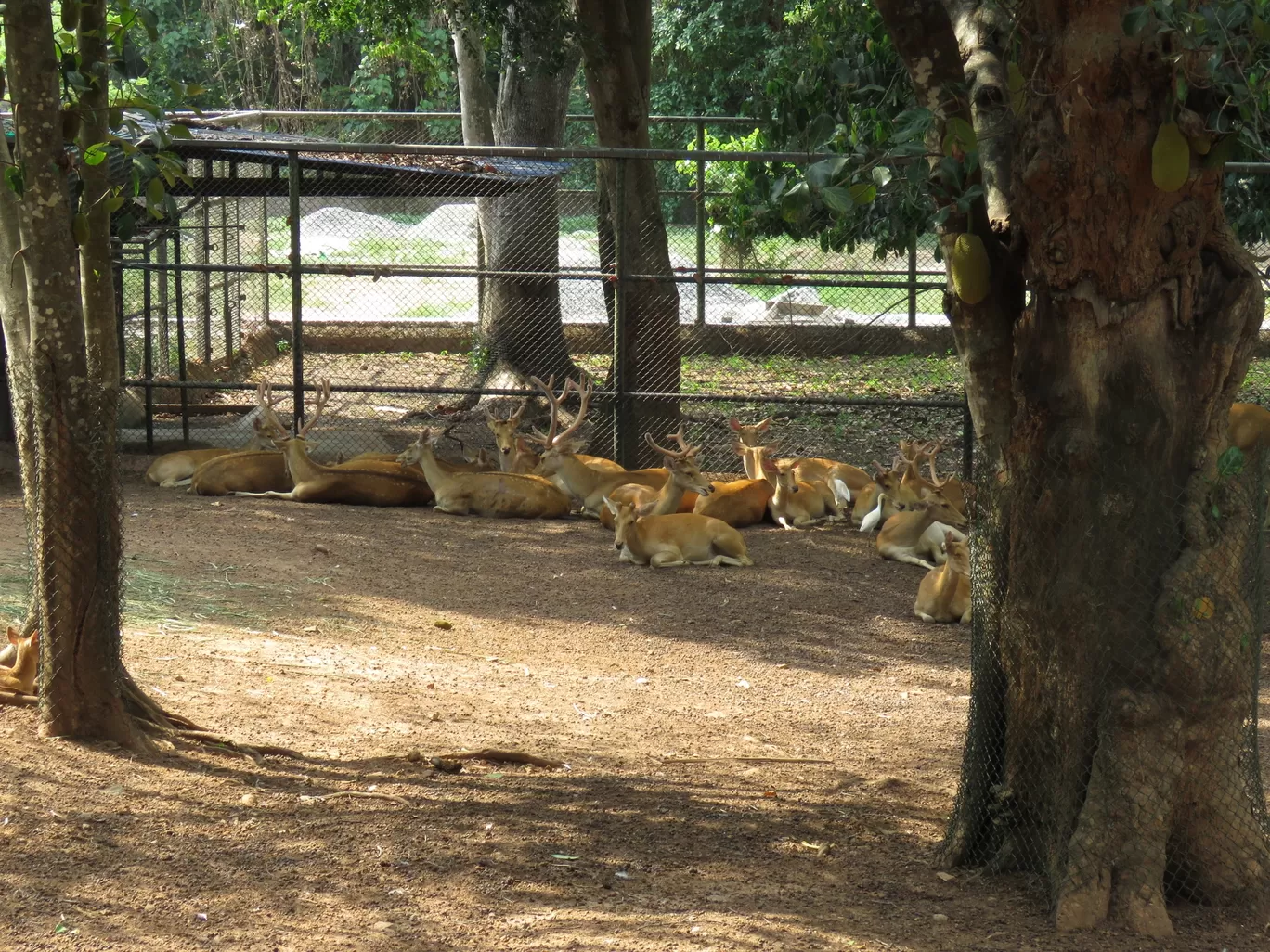 Photo of Thiruvananthapuram By Ashutosh Tewari