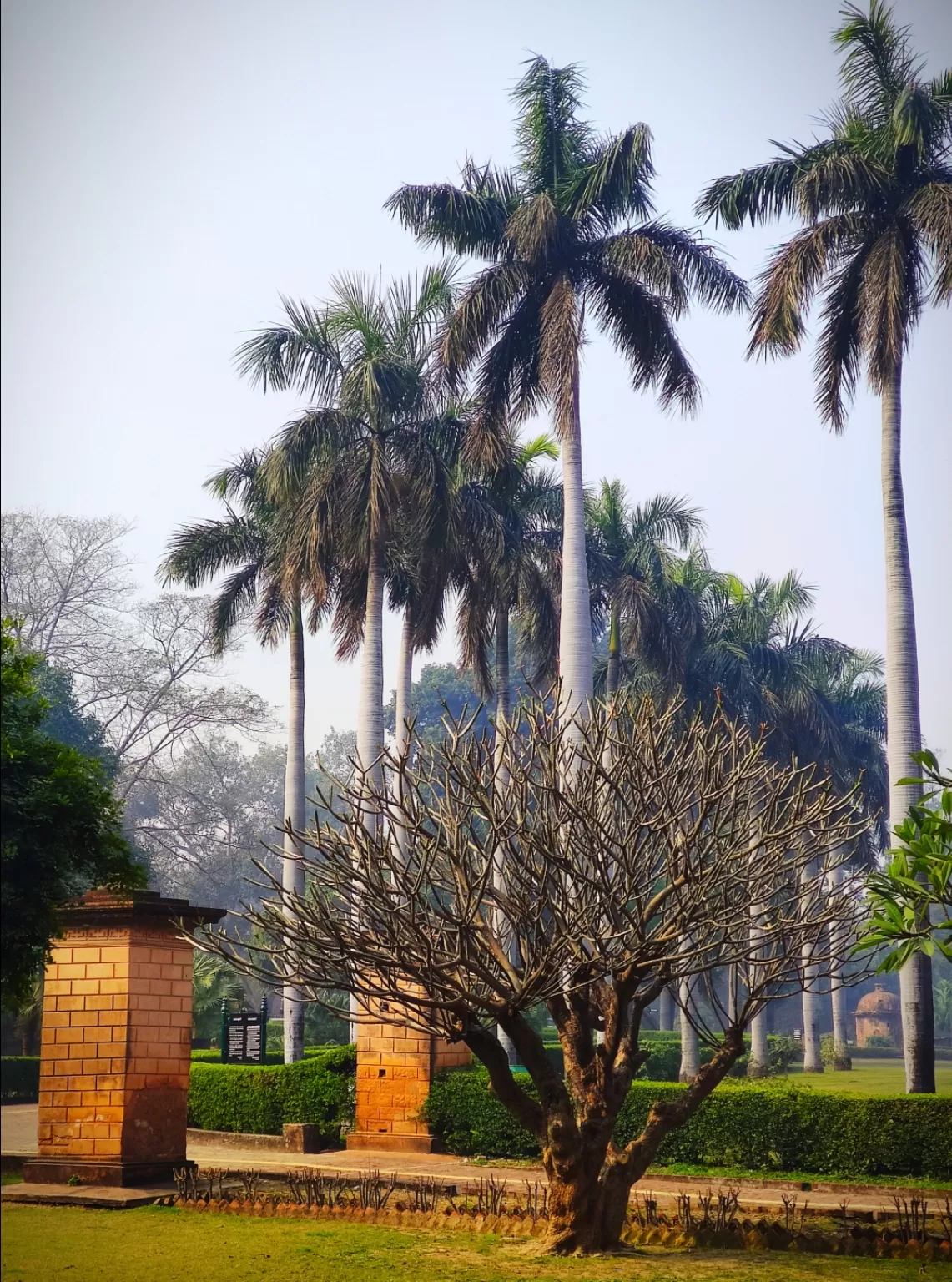 Photo of Lucknow By Pritam Banerjee