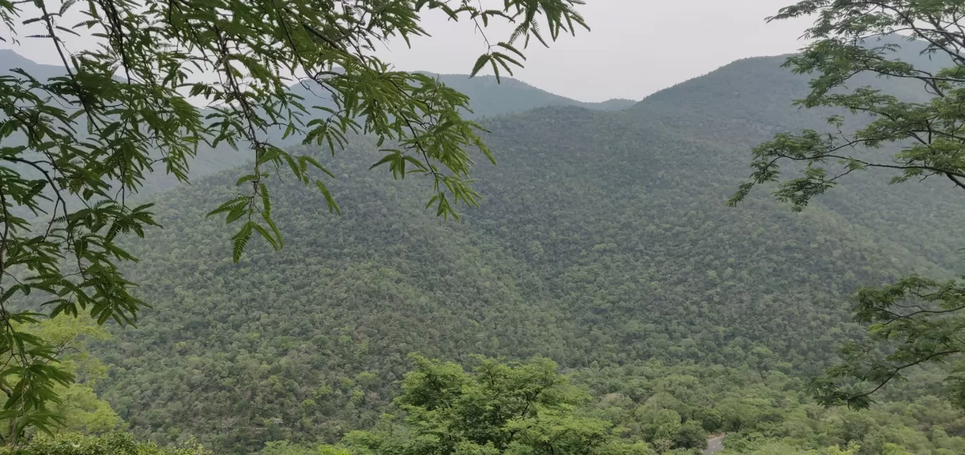 Photo of Male Mahadeshwara Hills By Shashank KR