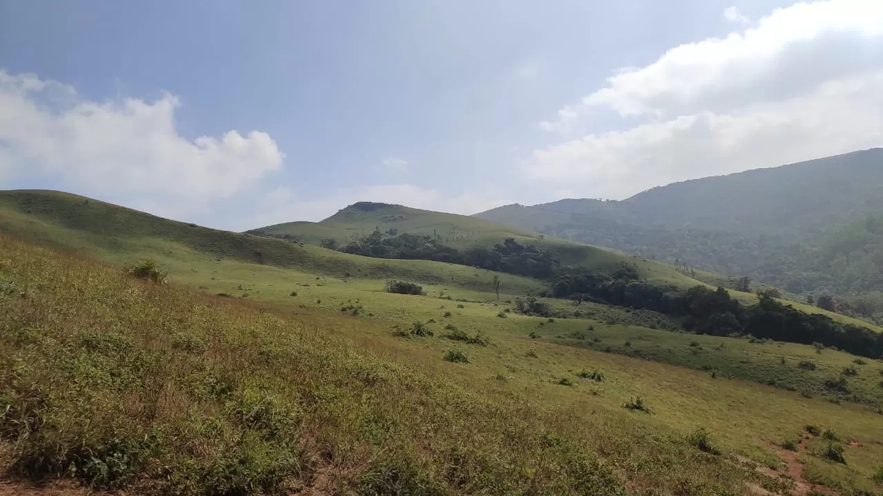 Photo of Chikmagalur By Shashank KR