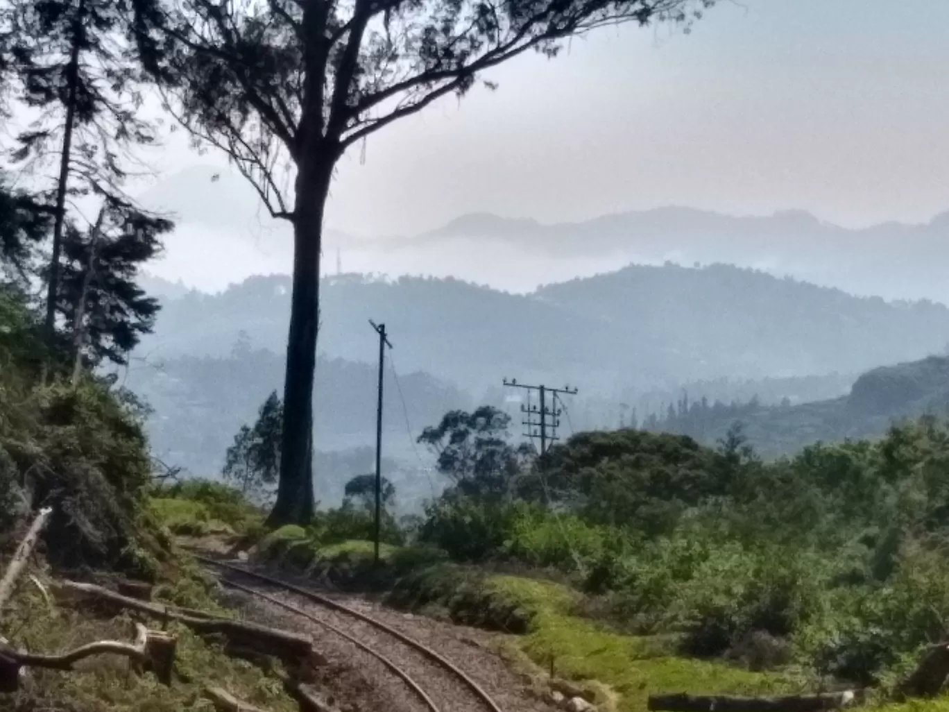 Photo of Nilgiris By Shashank KR