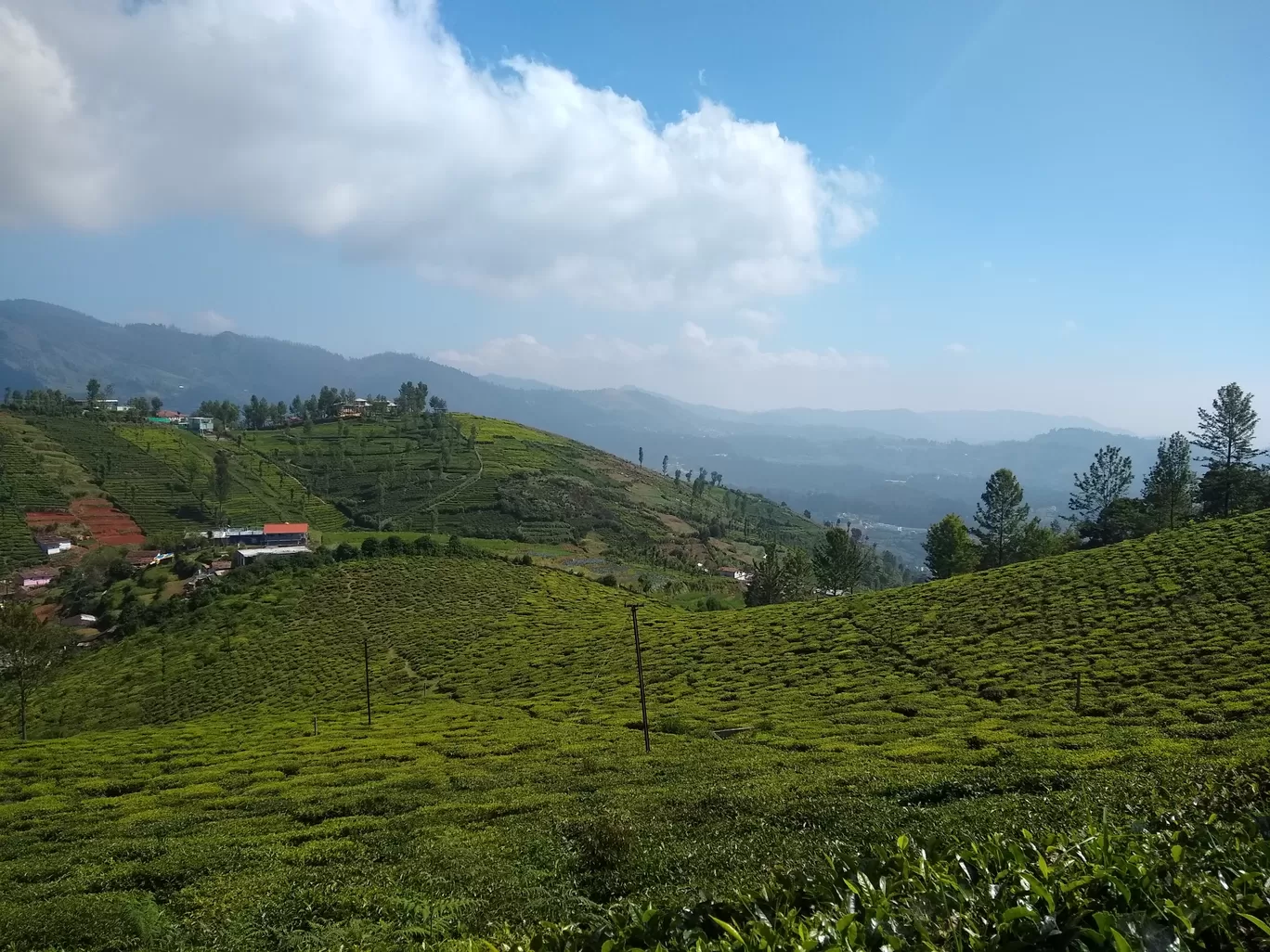 Photo of Nilgiris By Shashank KR