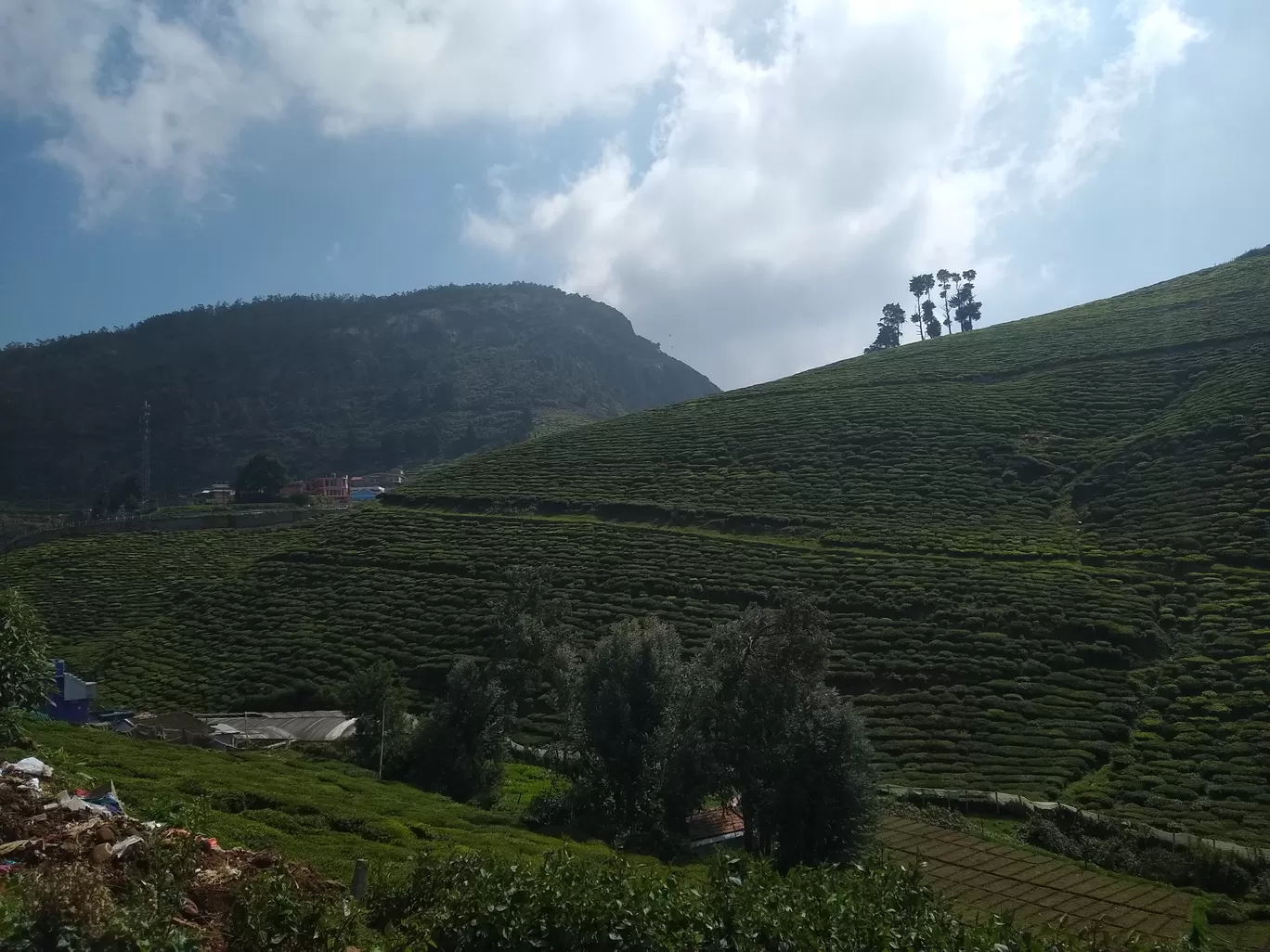 Photo of Nilgiris By Shashank KR