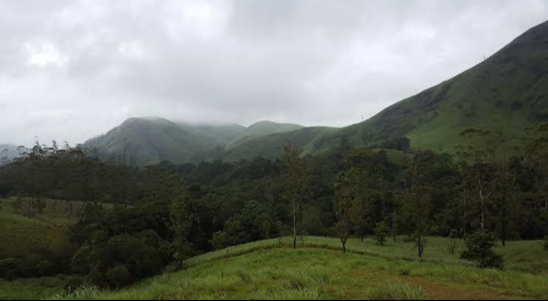 Photo of Wayanad By Shashank KR