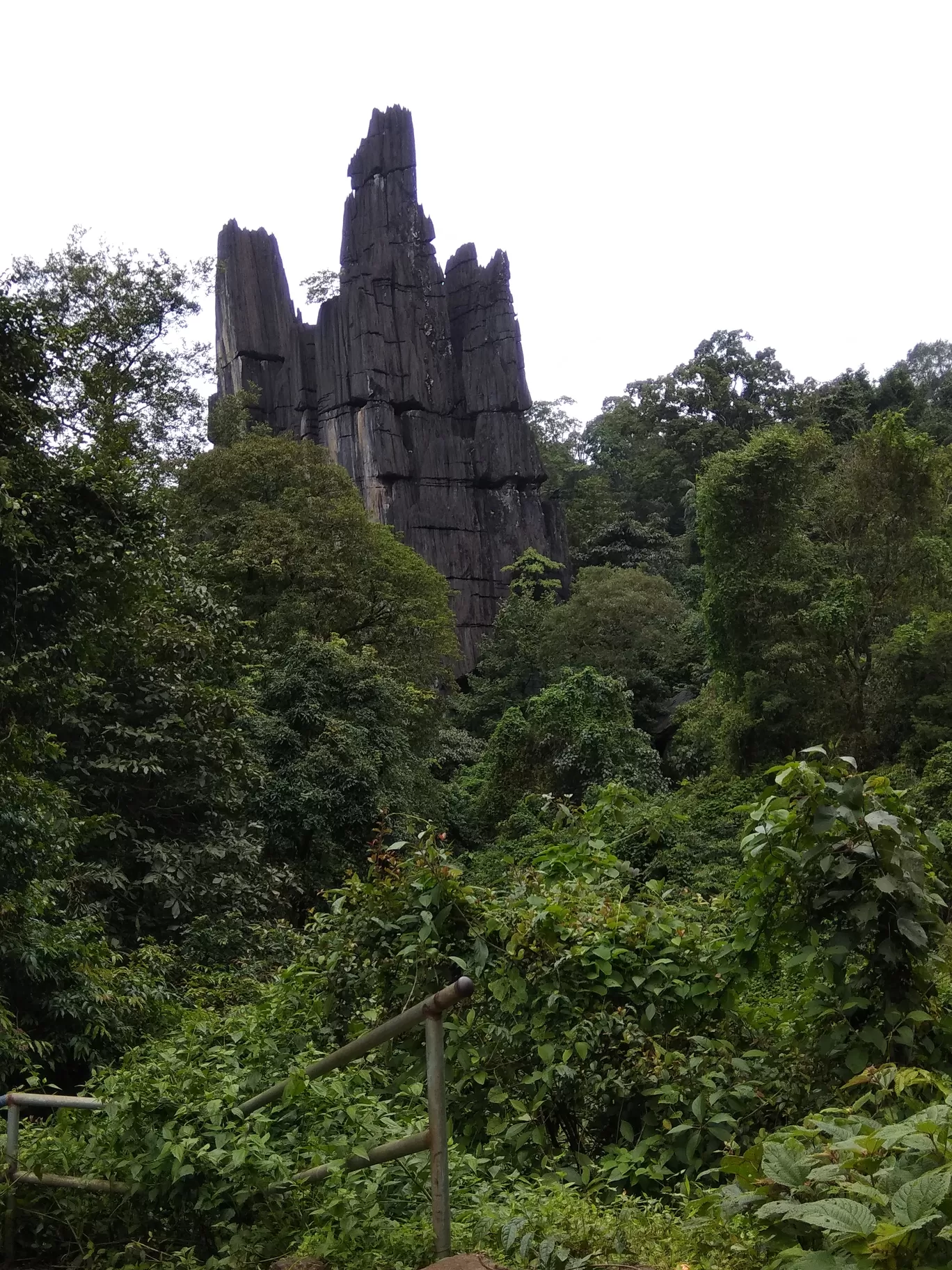 Photo of Amboli By Shashank KR
