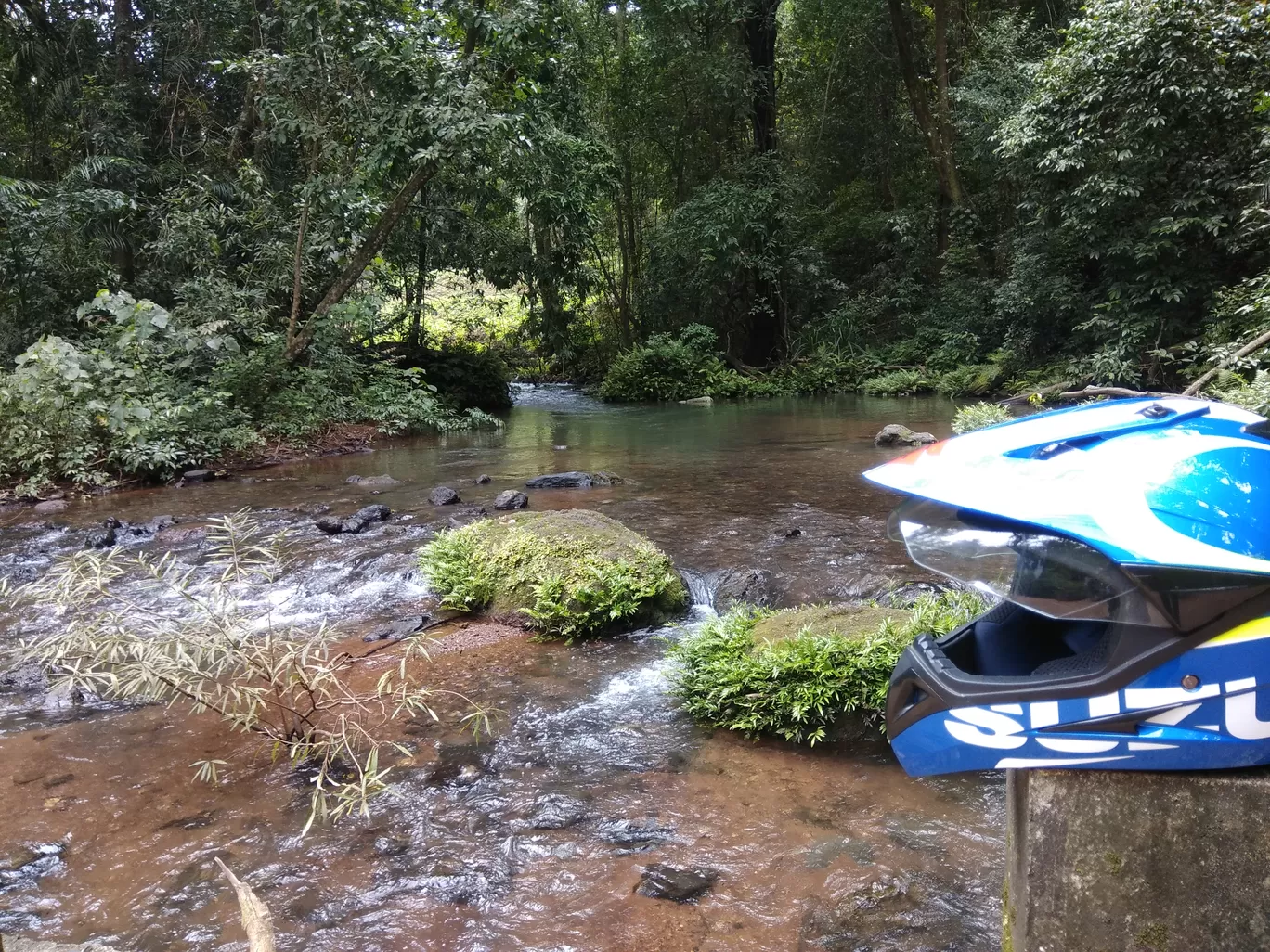Photo of Amboli By Shashank KR