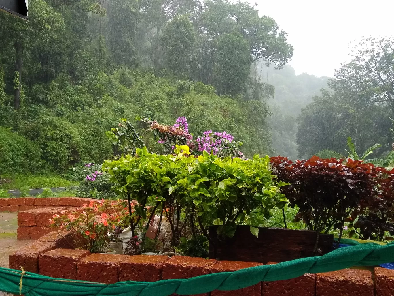 Photo of Tala Kaveri By Shashank KR