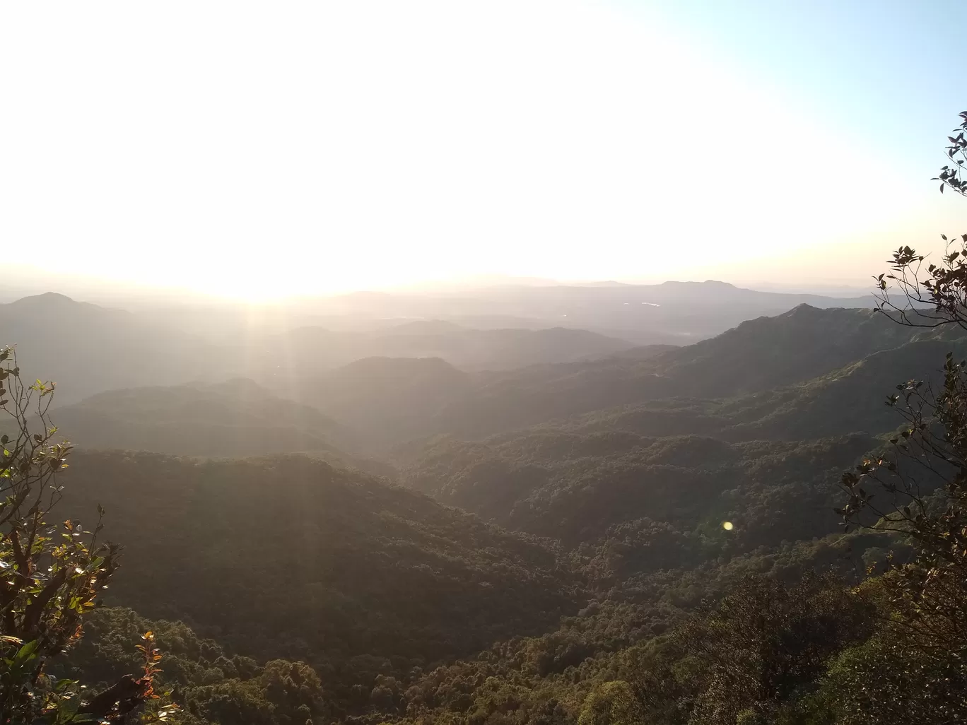 Photo of Amboli By Shashank KR