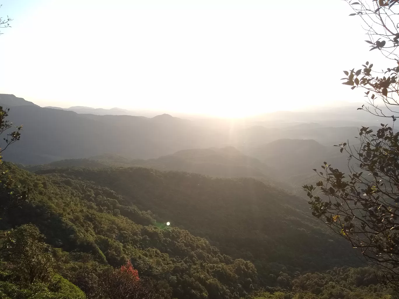 Photo of Amboli By Shashank KR