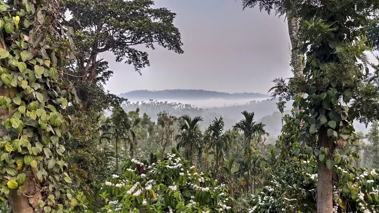 Photo of Sakleshpur By Shashank KR