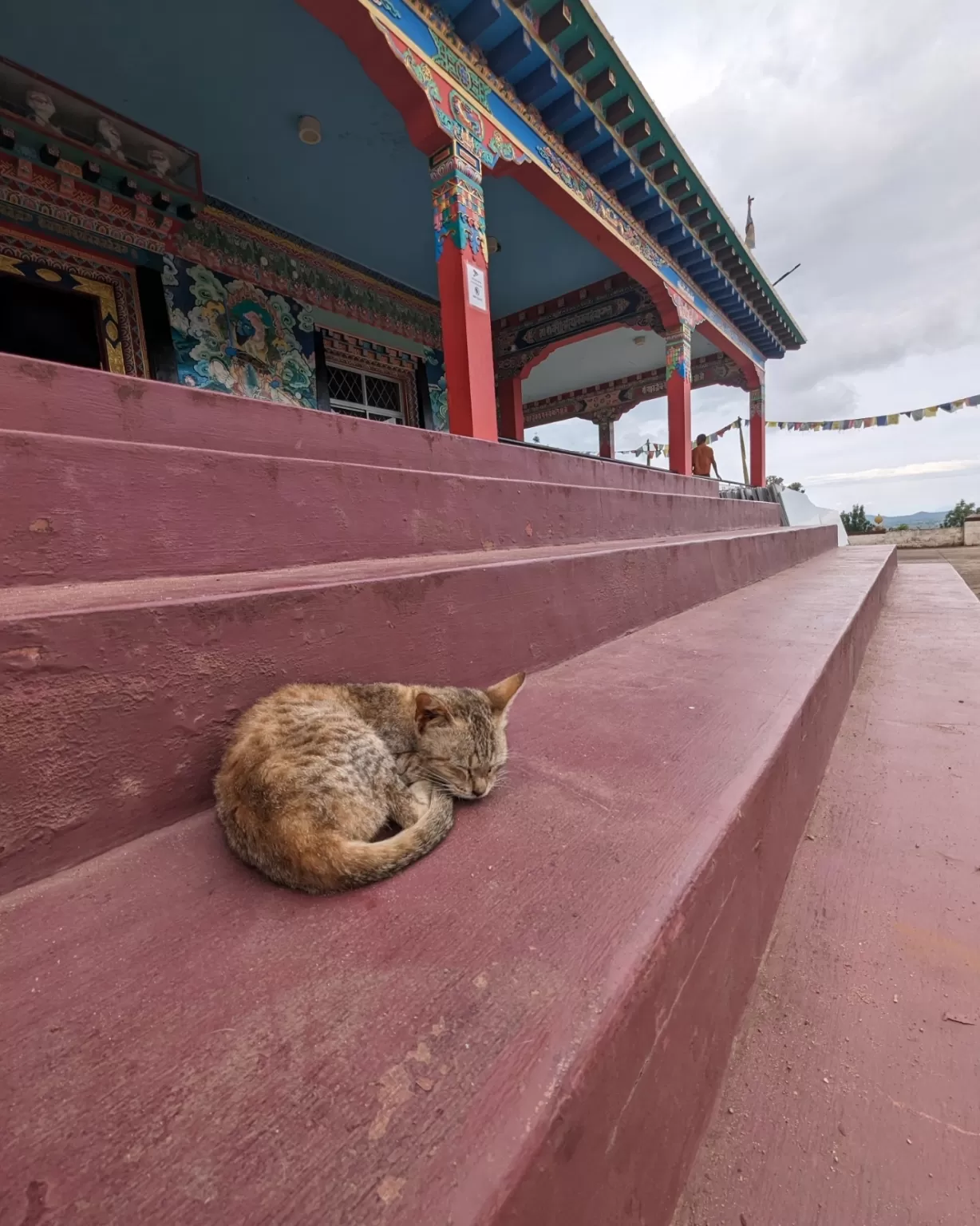 Photo of Dhondenling Tibetan Settlement By Shashank KR