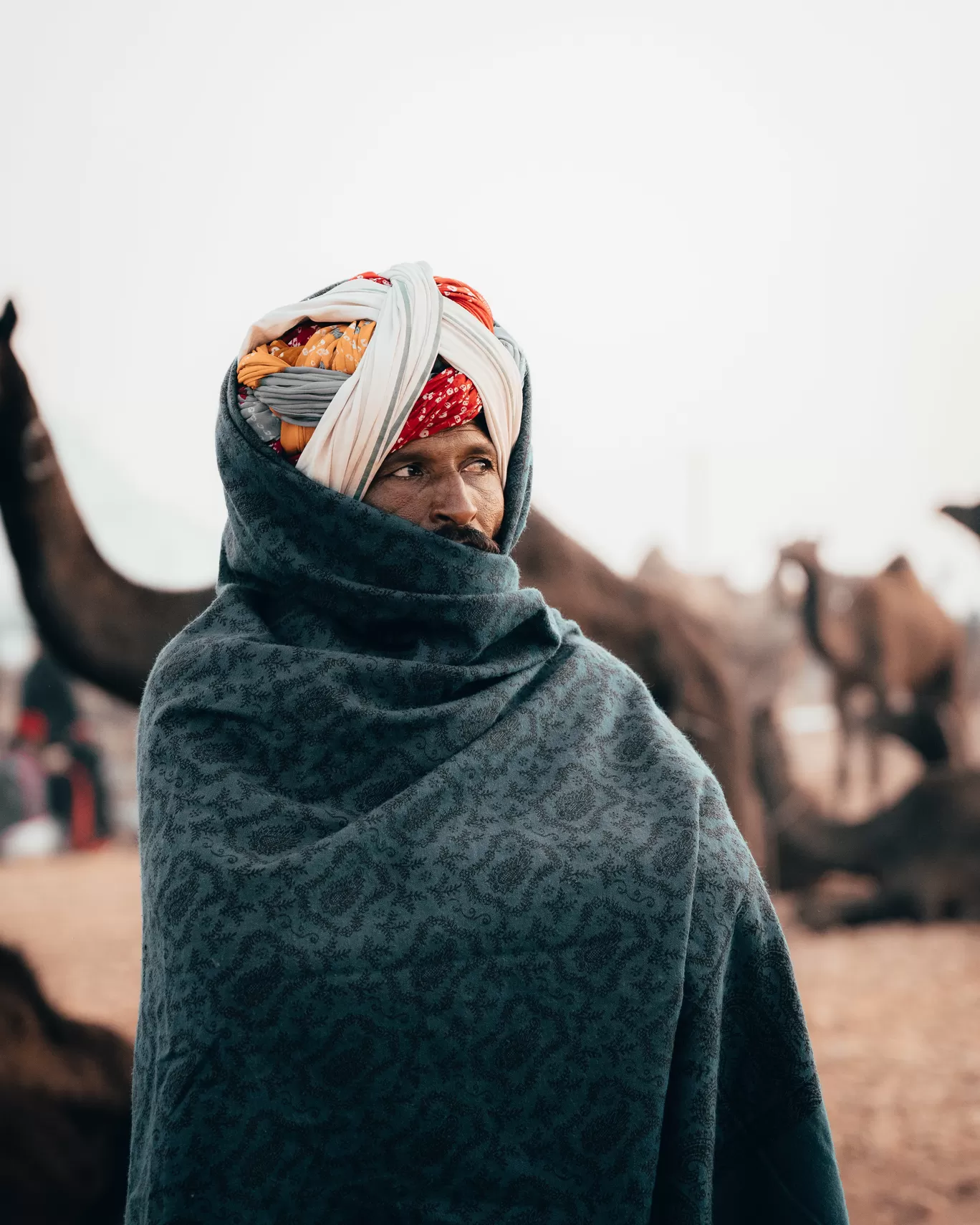 Photo of Pushkar By Mohit Naikade