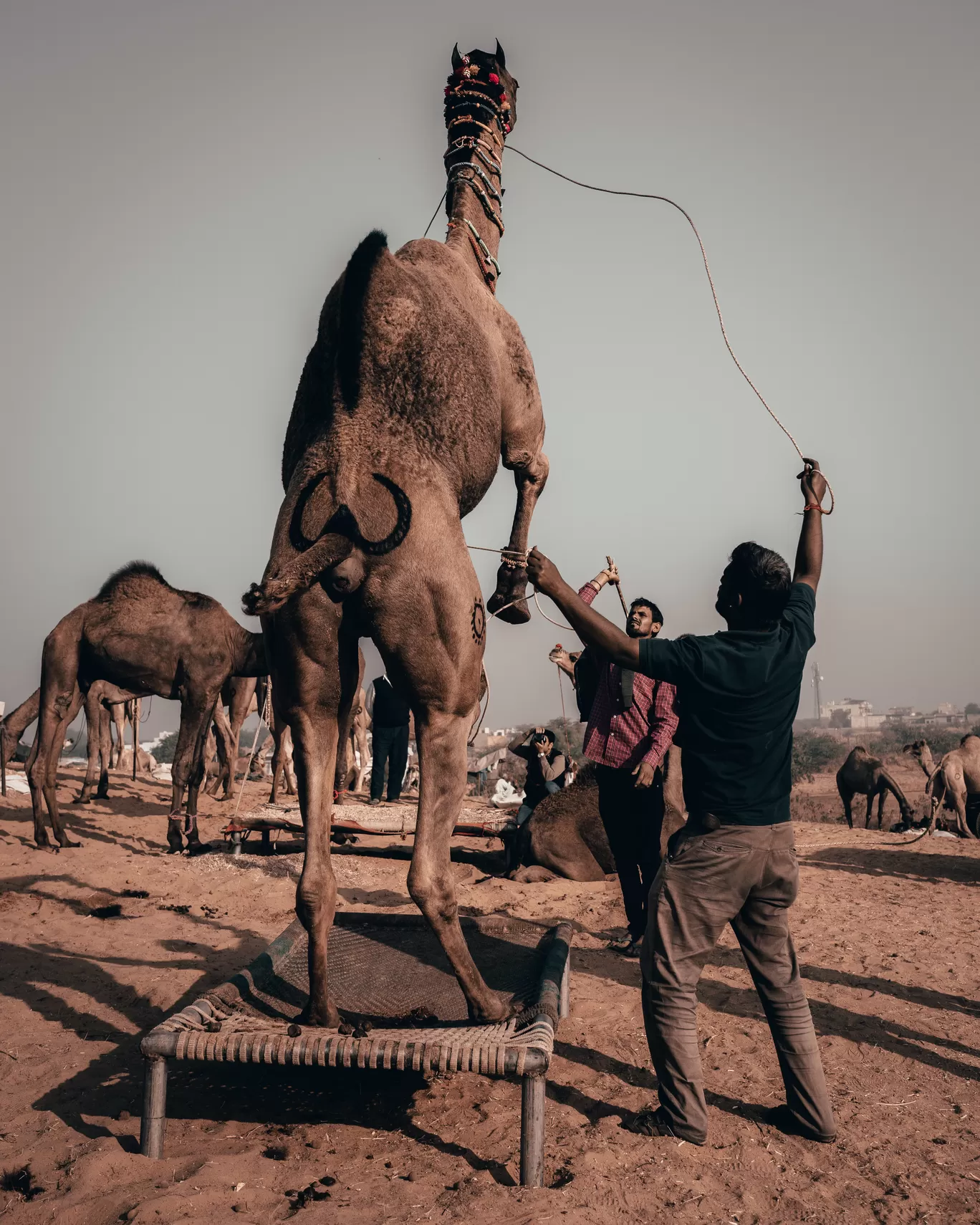 Photo of Pushkar By Mohit Naikade