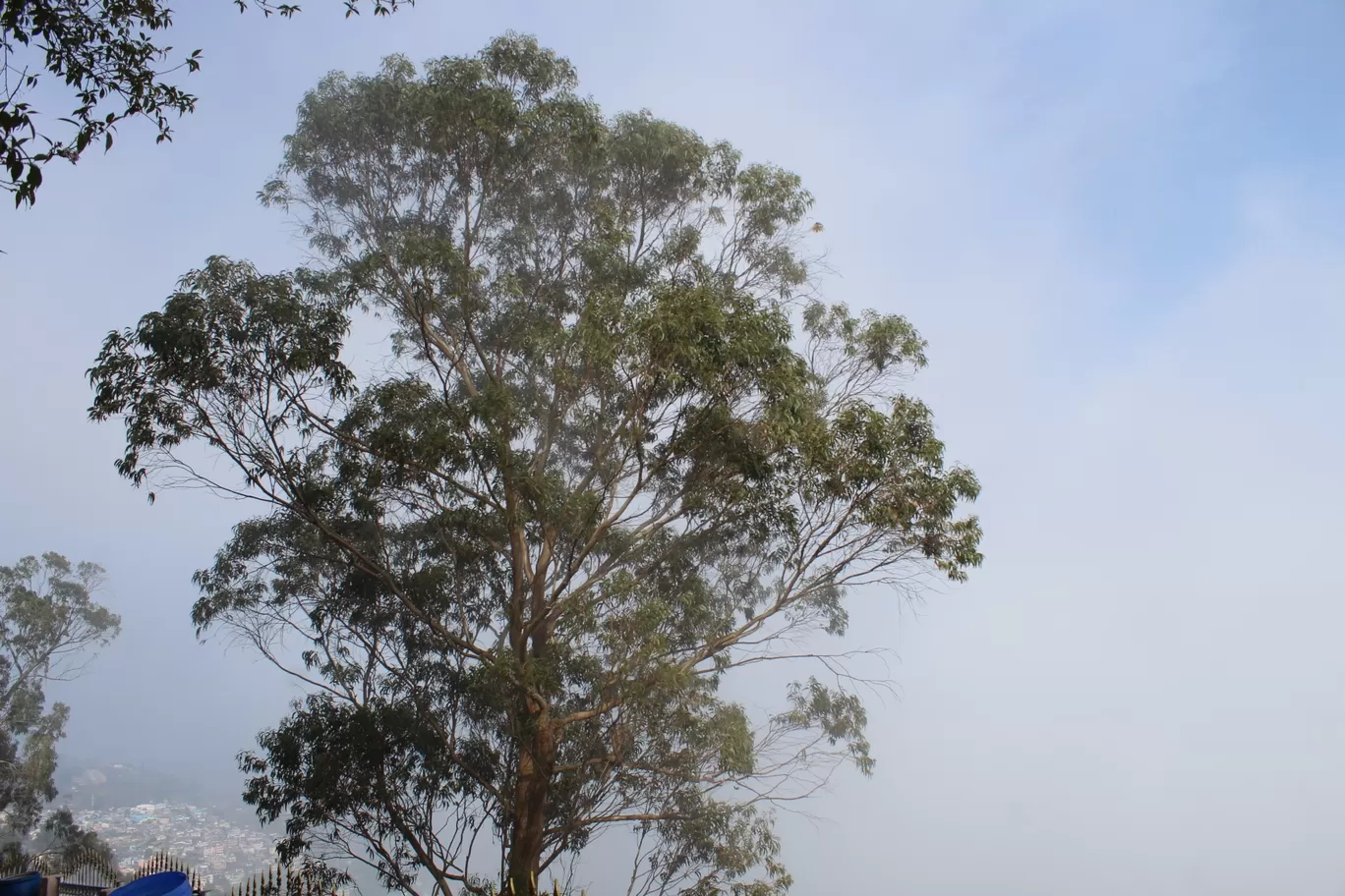 Photo of Kodaikanal By Harsha Nanjappa