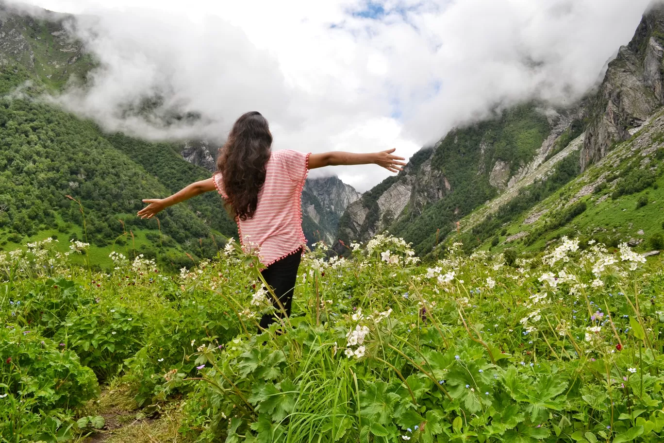 Photo of Valley of Flowers National Park By rover