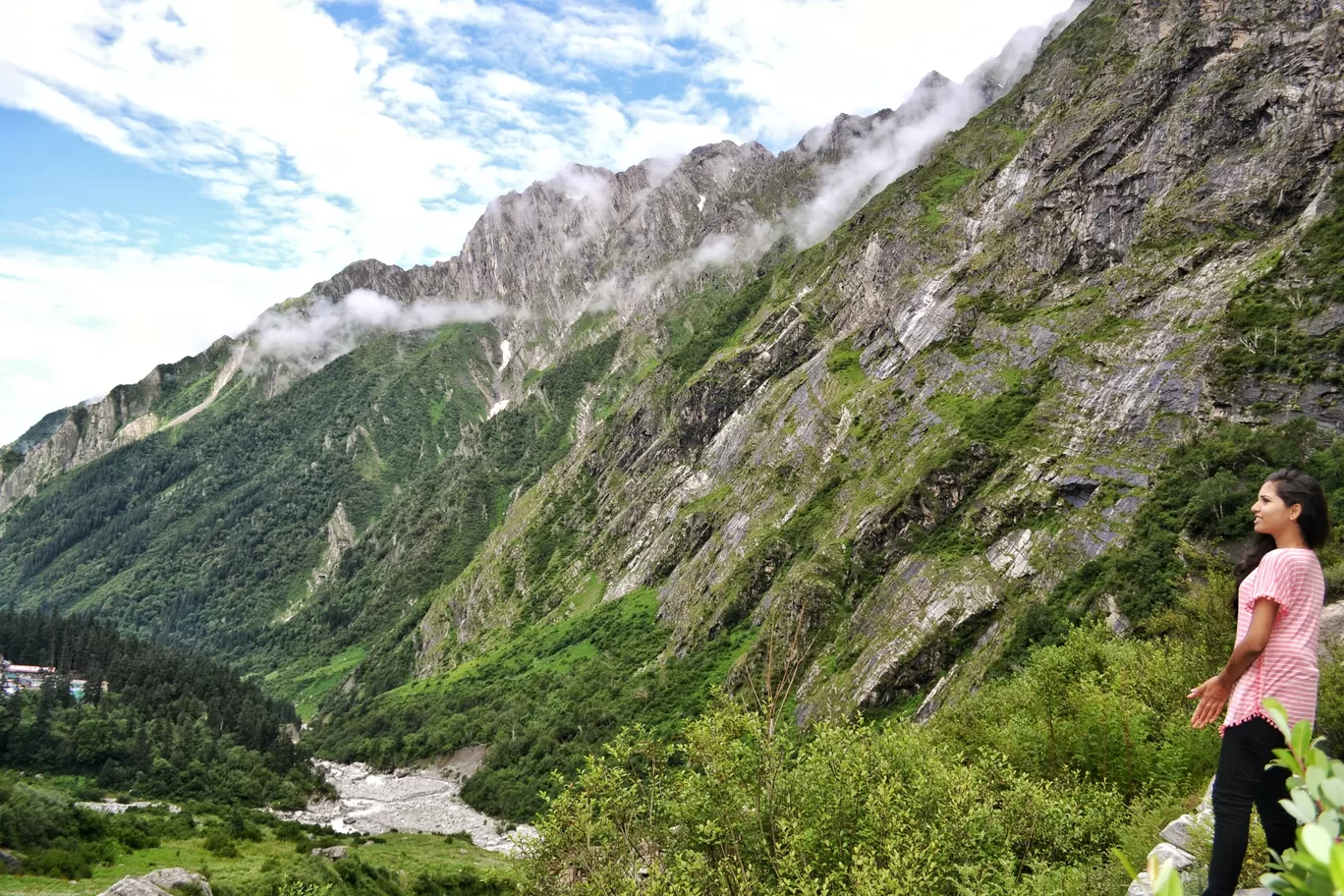 Photo of Valley of Flowers National Park By rover