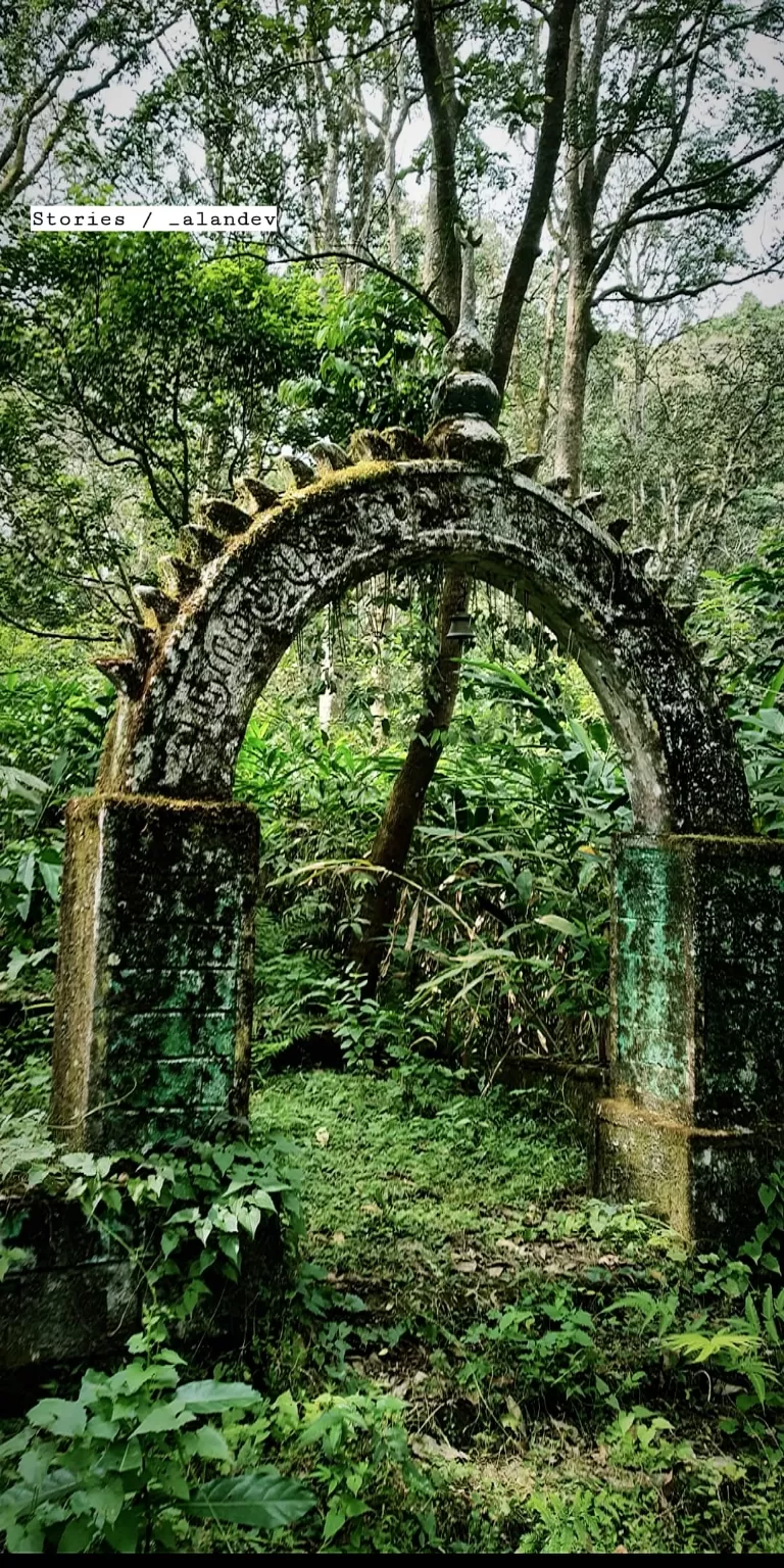 Photo of Nelliyampathy Forest Reserve By ALANDEV S