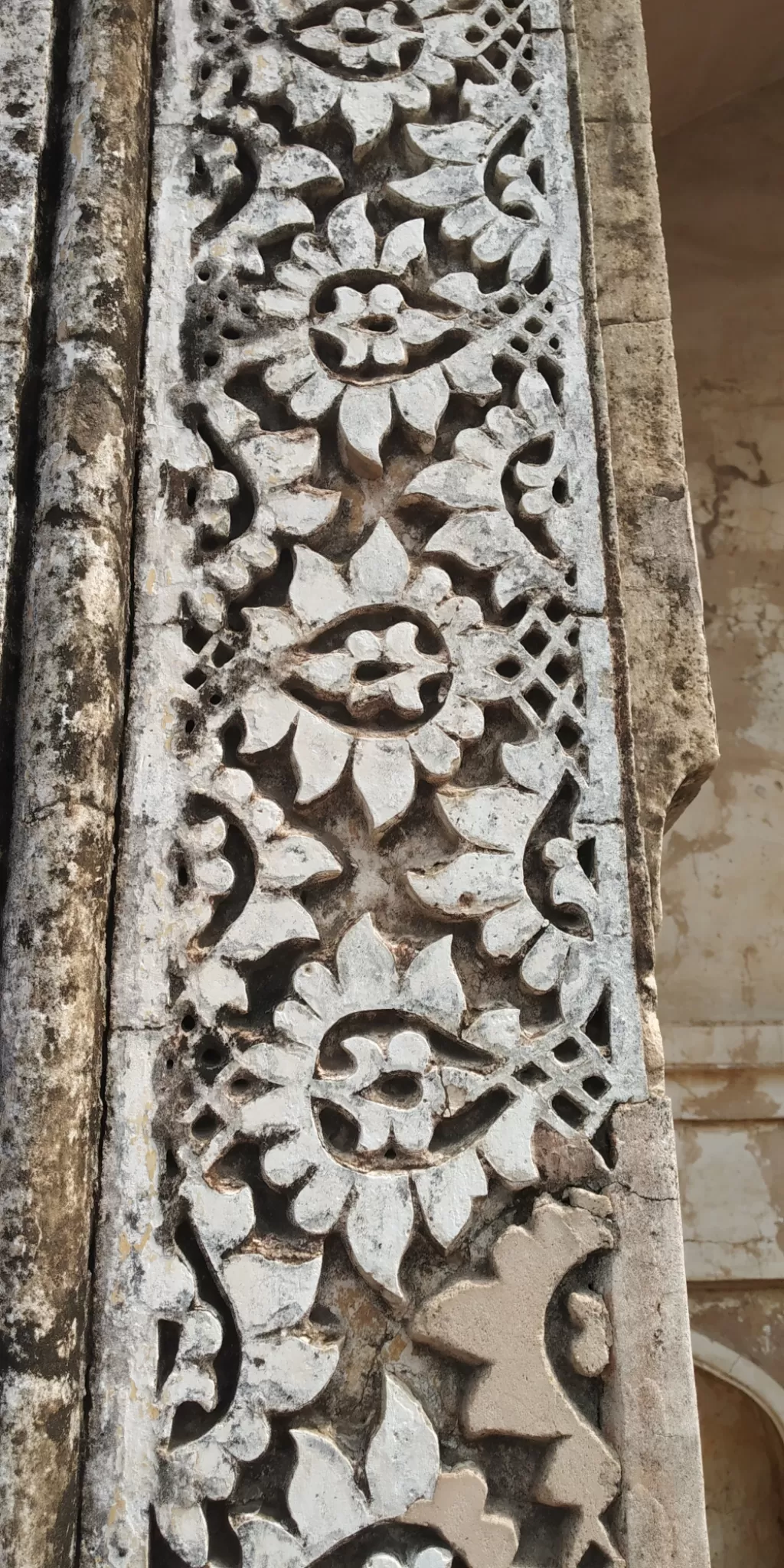 Photo of Mehrauli Archaeological Park By dushyant singh