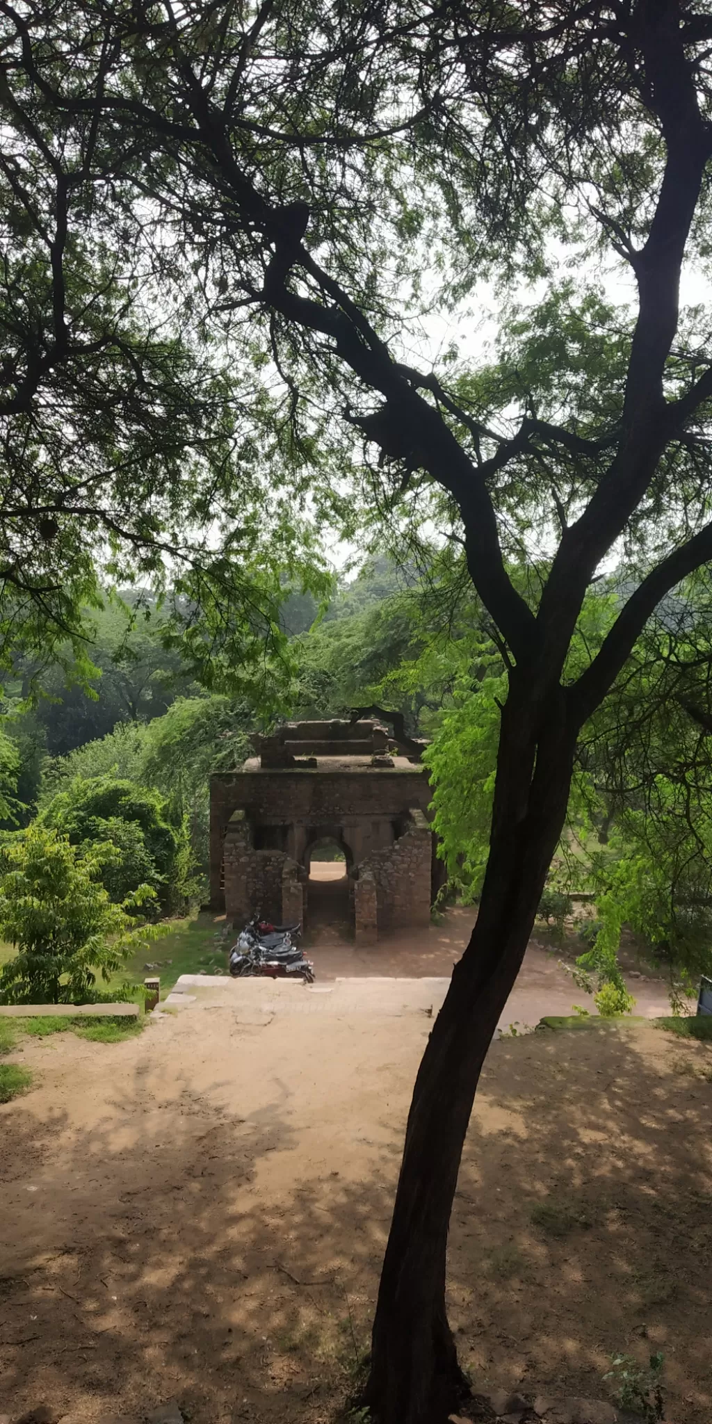 Photo of Mehrauli Archaeological Park By dushyant singh