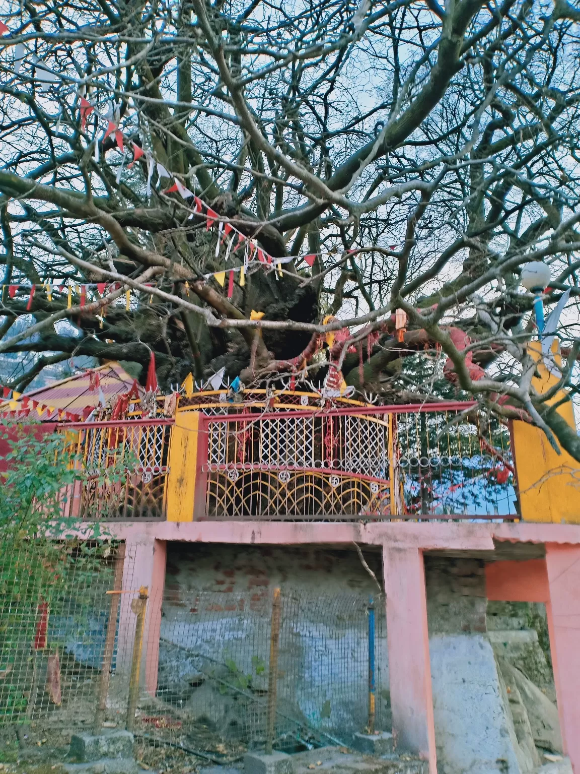 Photo of Joshimath By Shirley Raj