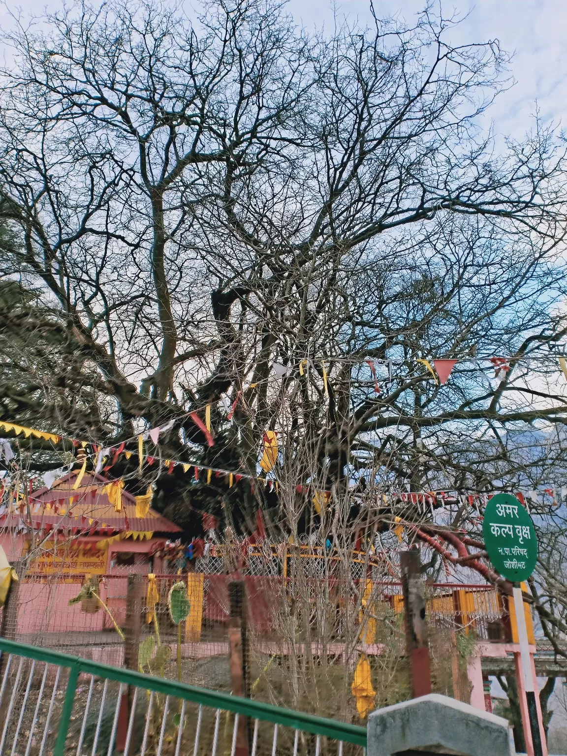 Photo of Joshimath By Shirley Raj