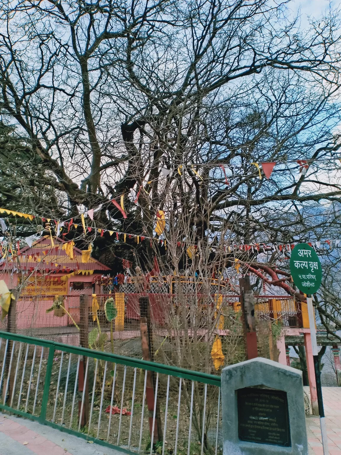 Photo of Joshimath By Shirley Raj