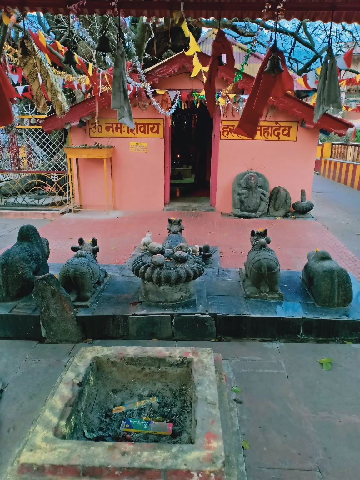 Photo of Joshimath By Shirley Raj