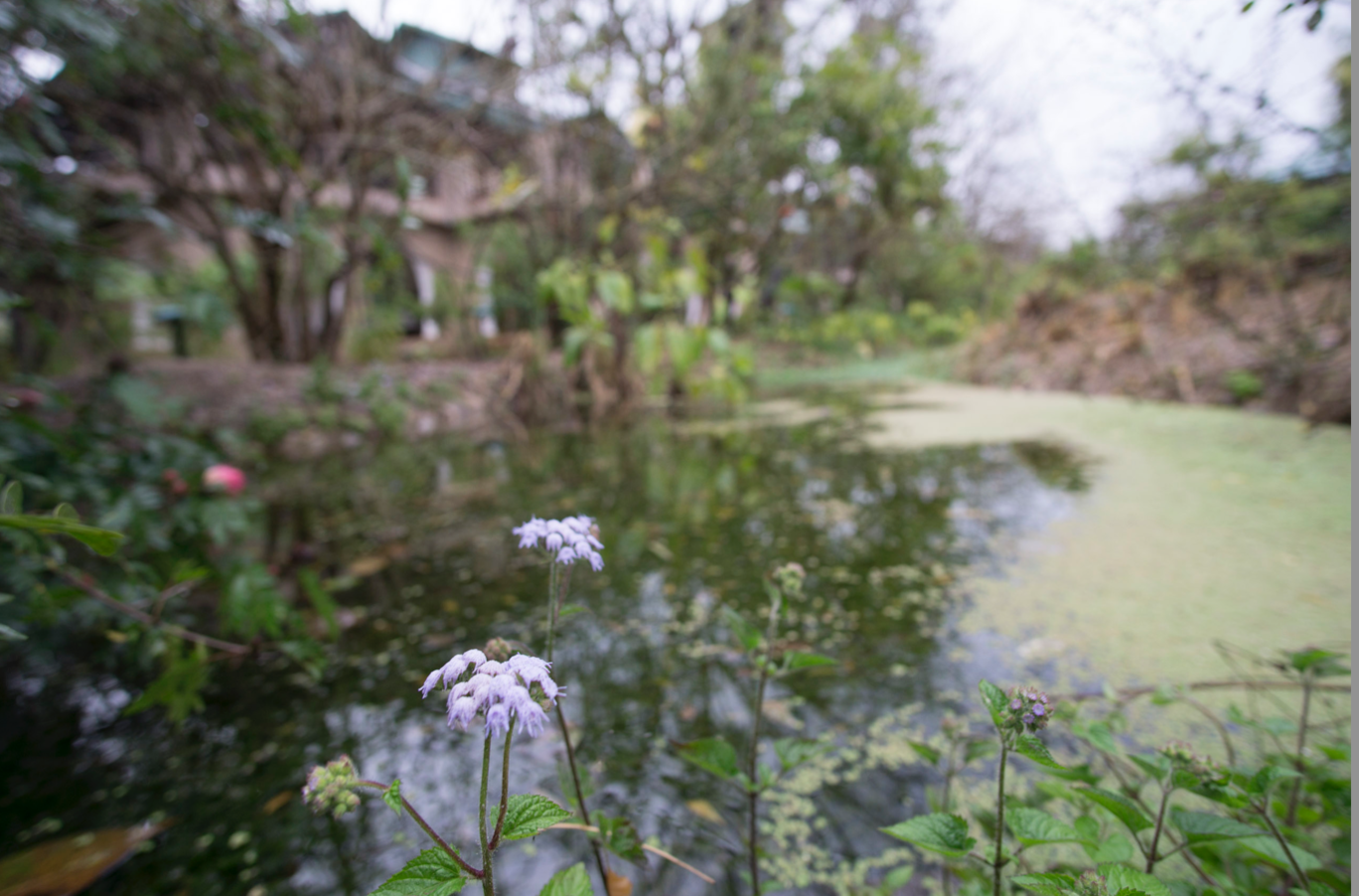 Photo of Jim's Jungle Retreat By Sandeep Sreedhar