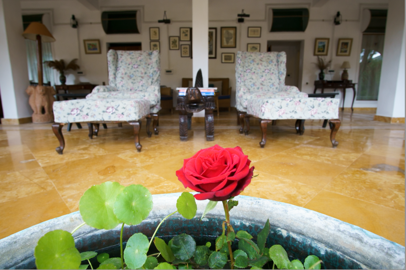 Photo of Jim's Jungle Retreat By Sandeep Sreedhar