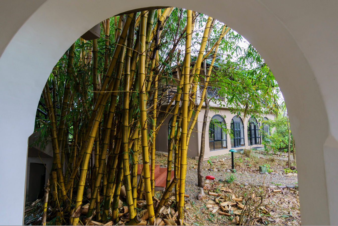 Photo of Jim's Jungle Retreat By Sandeep Sreedhar